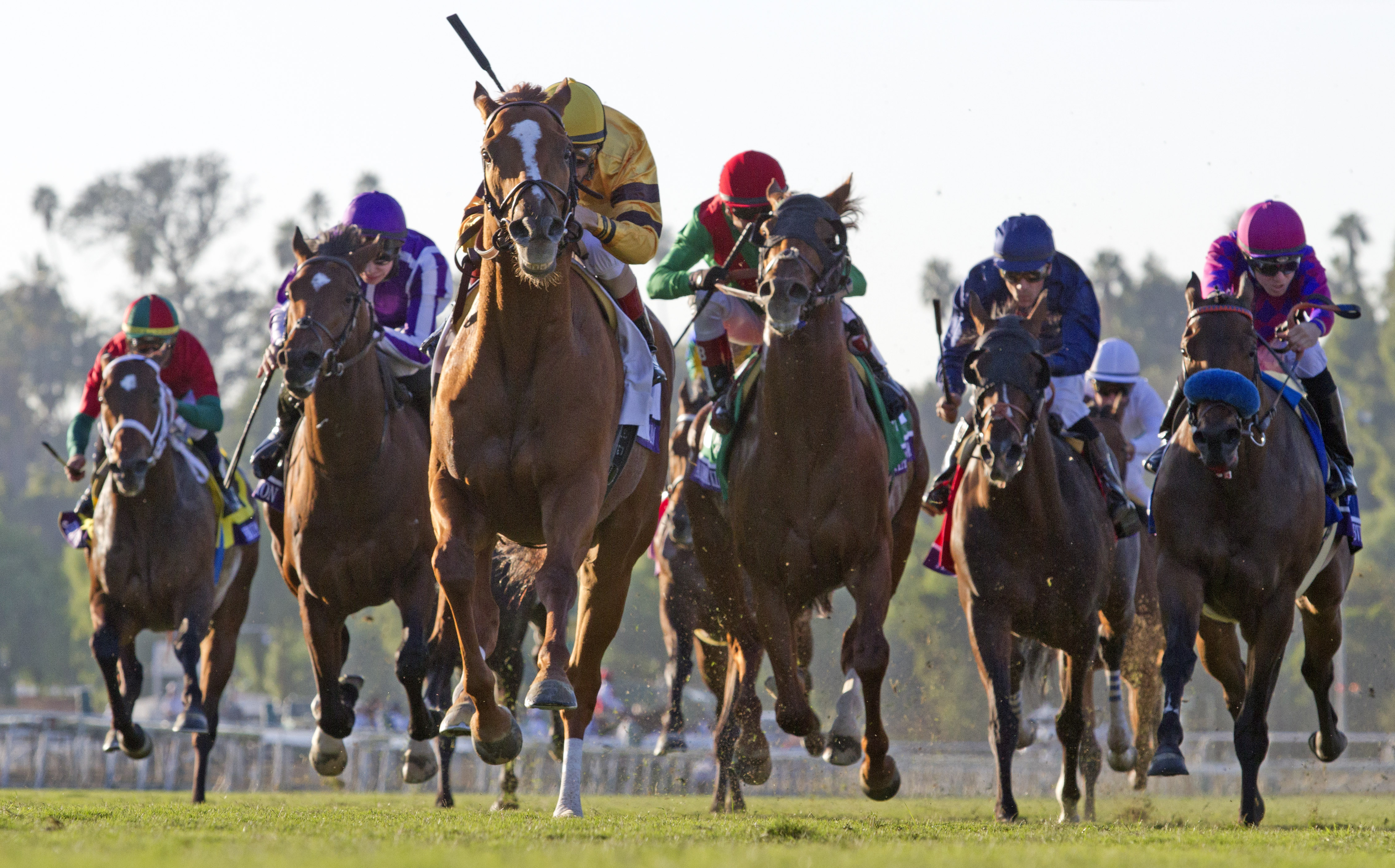Wise Dan/BC Mile