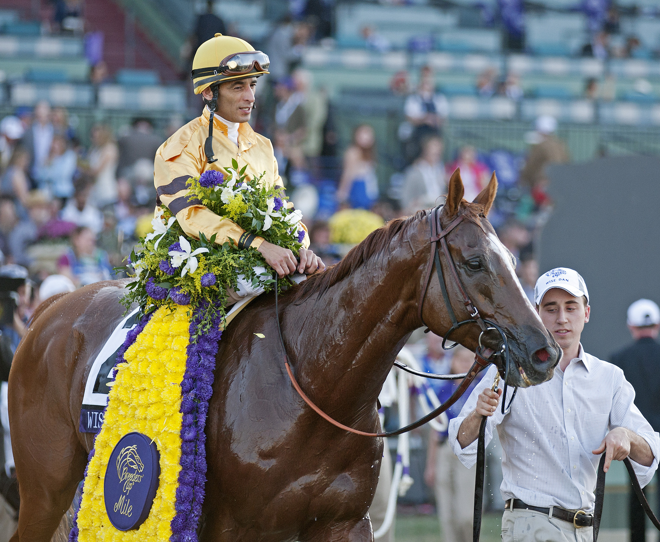 Eclipse Awards: Fort Larned, I'll Have Another, Wise Dan Horse of the Year finalists