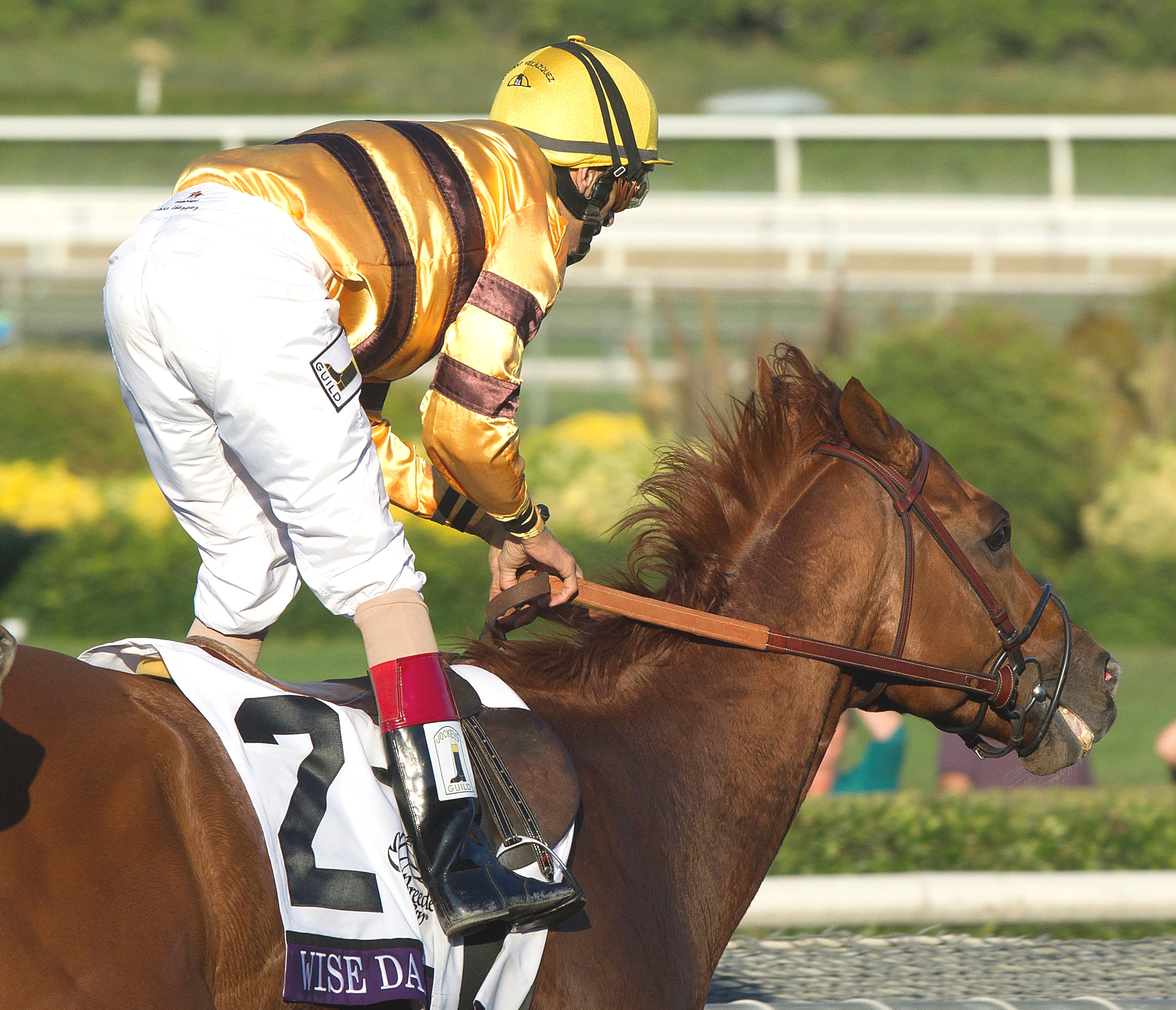 Wise Dan, BC Mile 2012