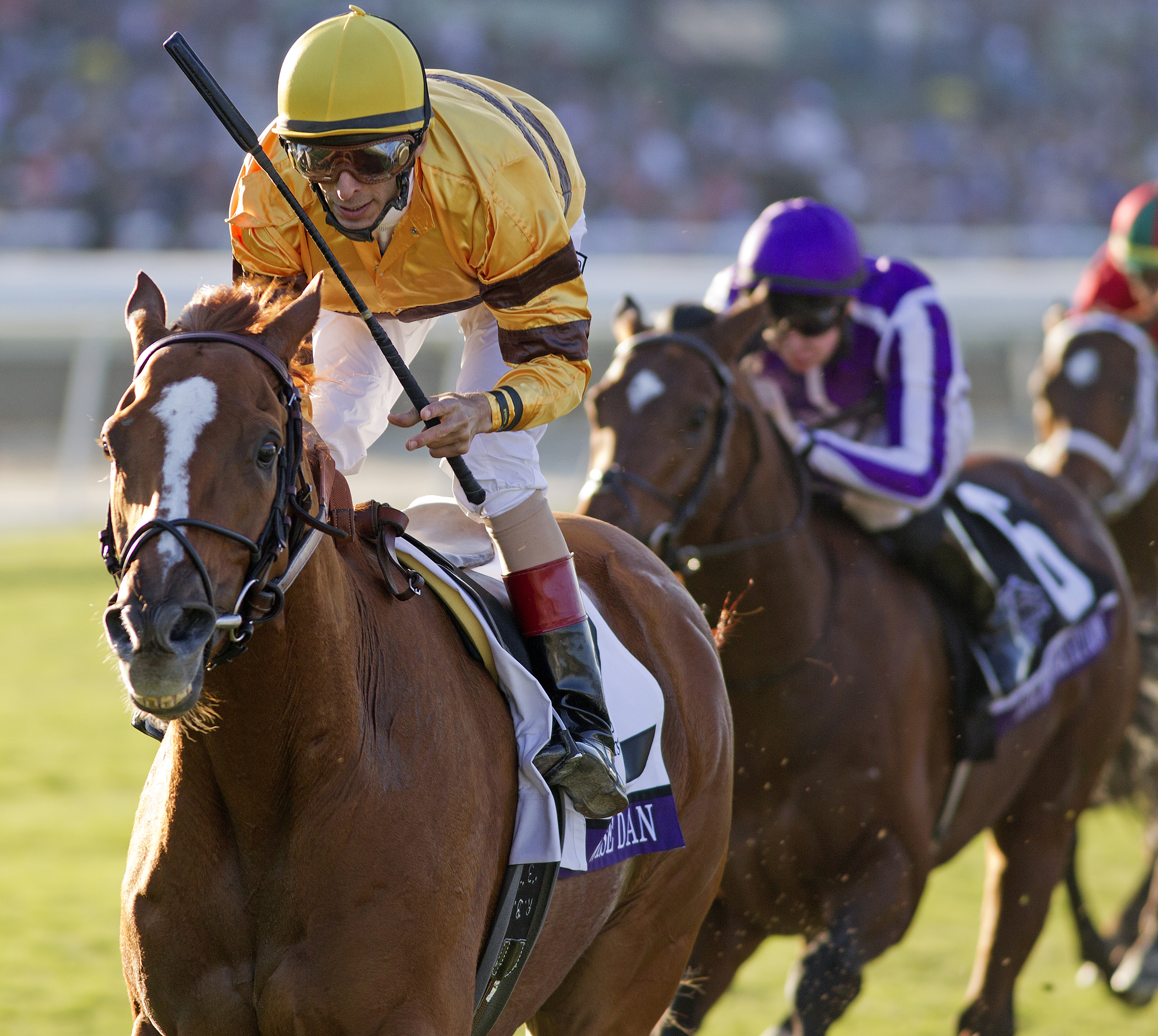 Wise Dan, Breeders' Cup Mile