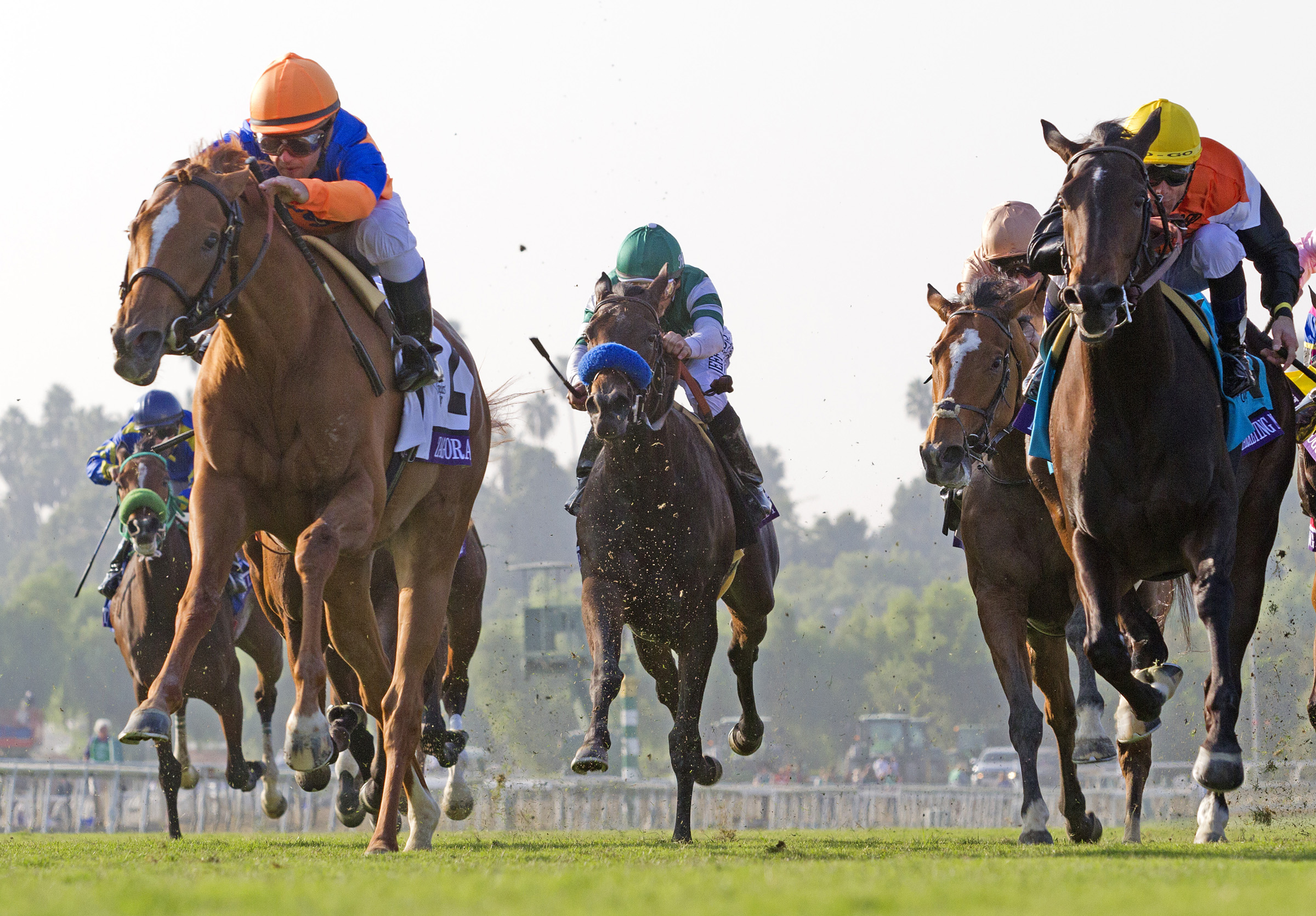 Zagora wins the Breeders' Cup Filly & Mare Turf