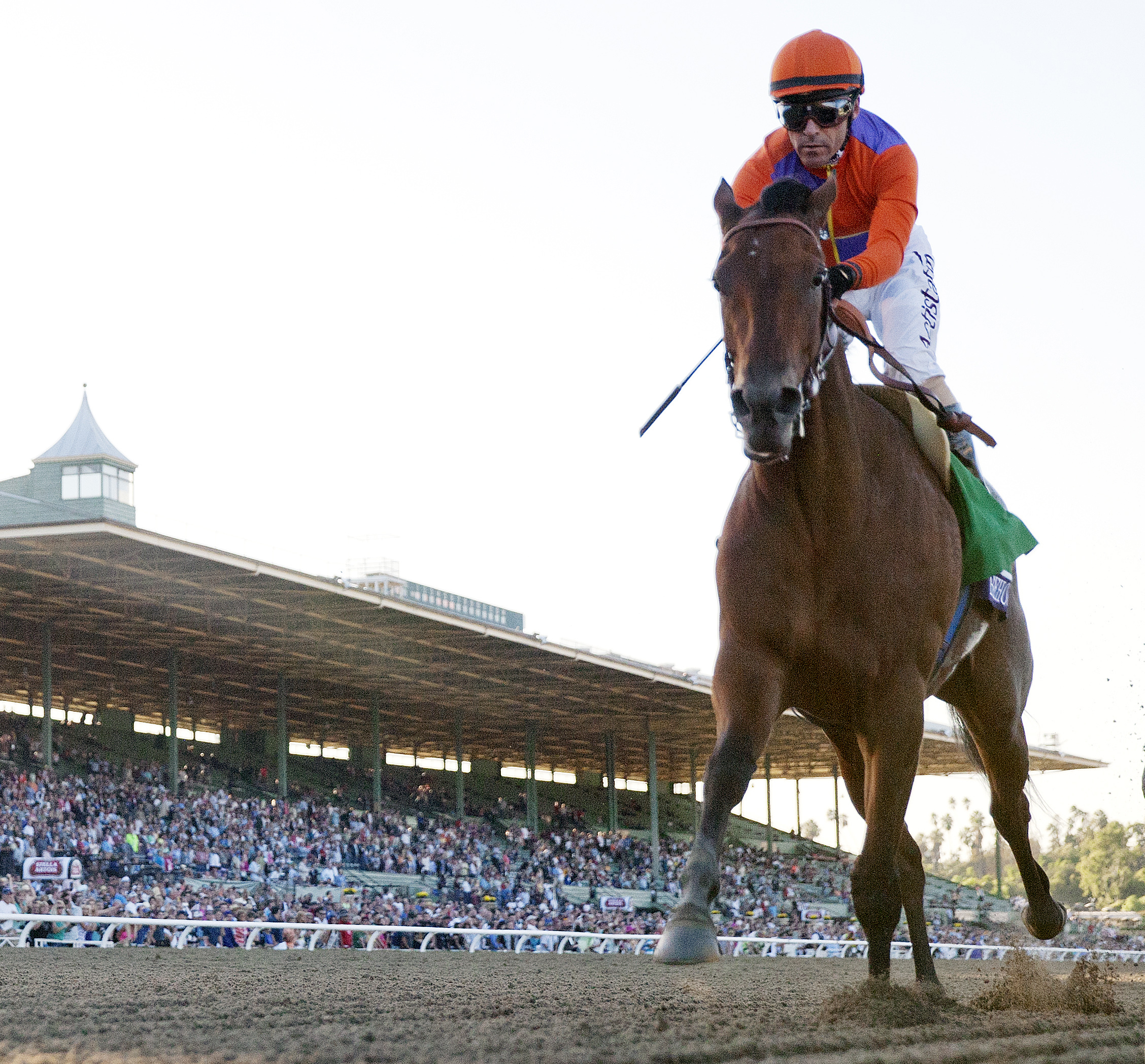 Beholder coasts to a BC Distaff win