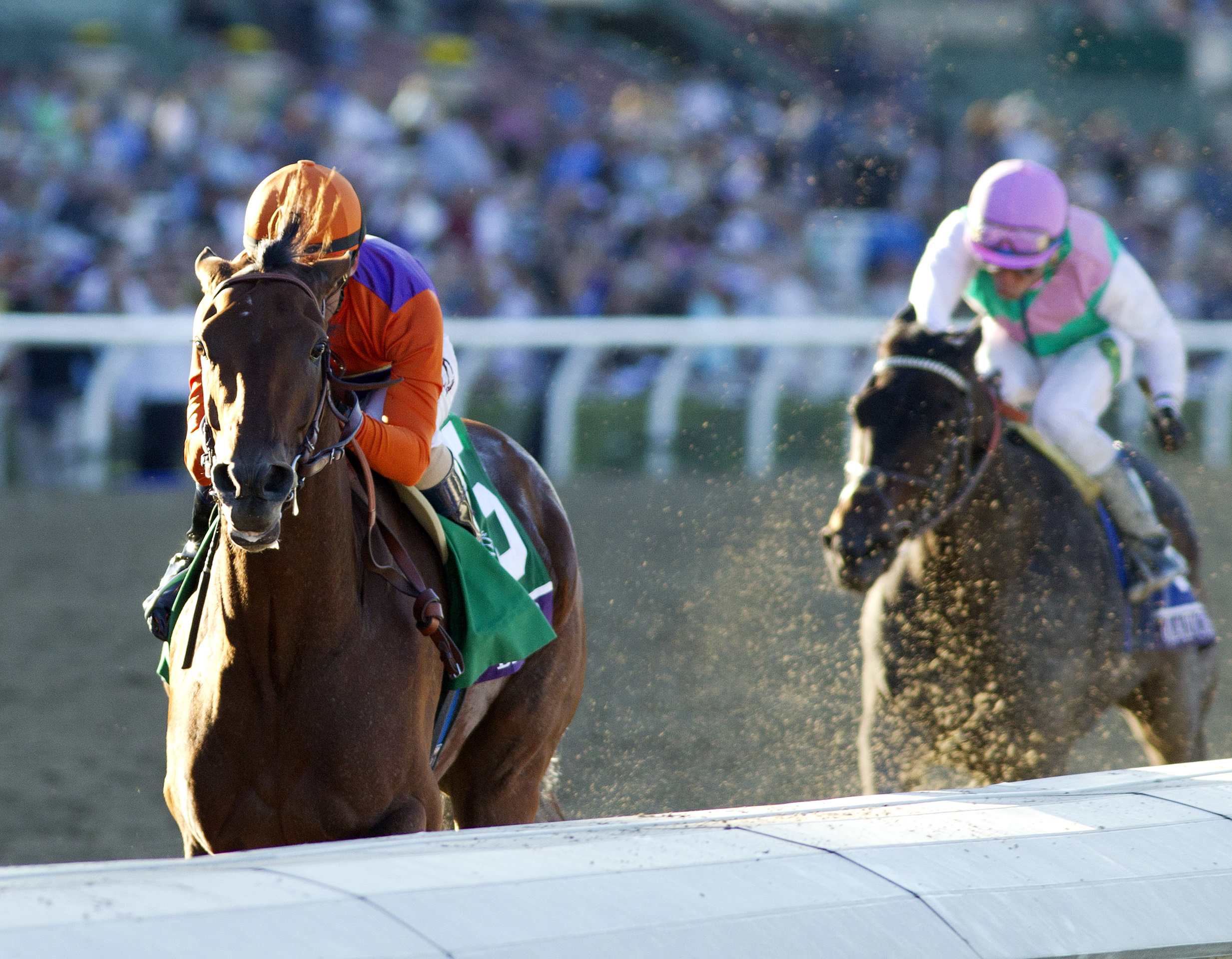 Beholder wins the Breeders' Cup Distaff