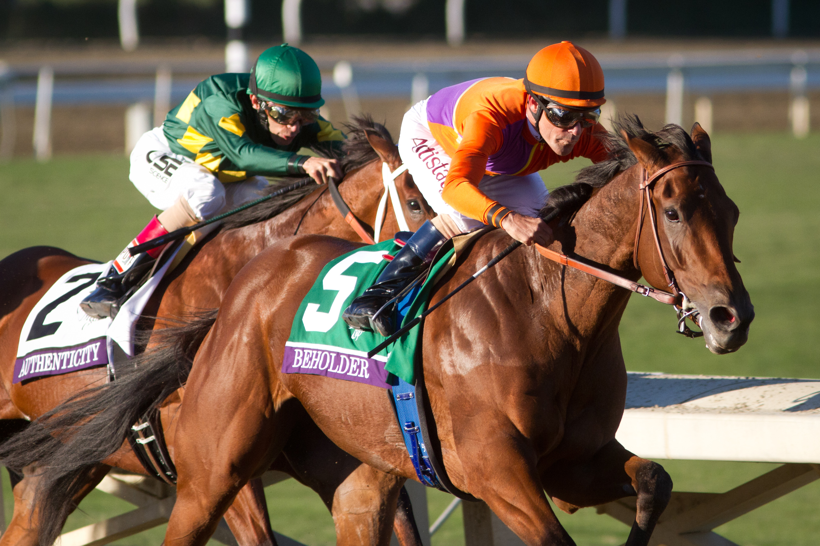 Beholder beats Authenticity for the Breeders' Cup Distaff