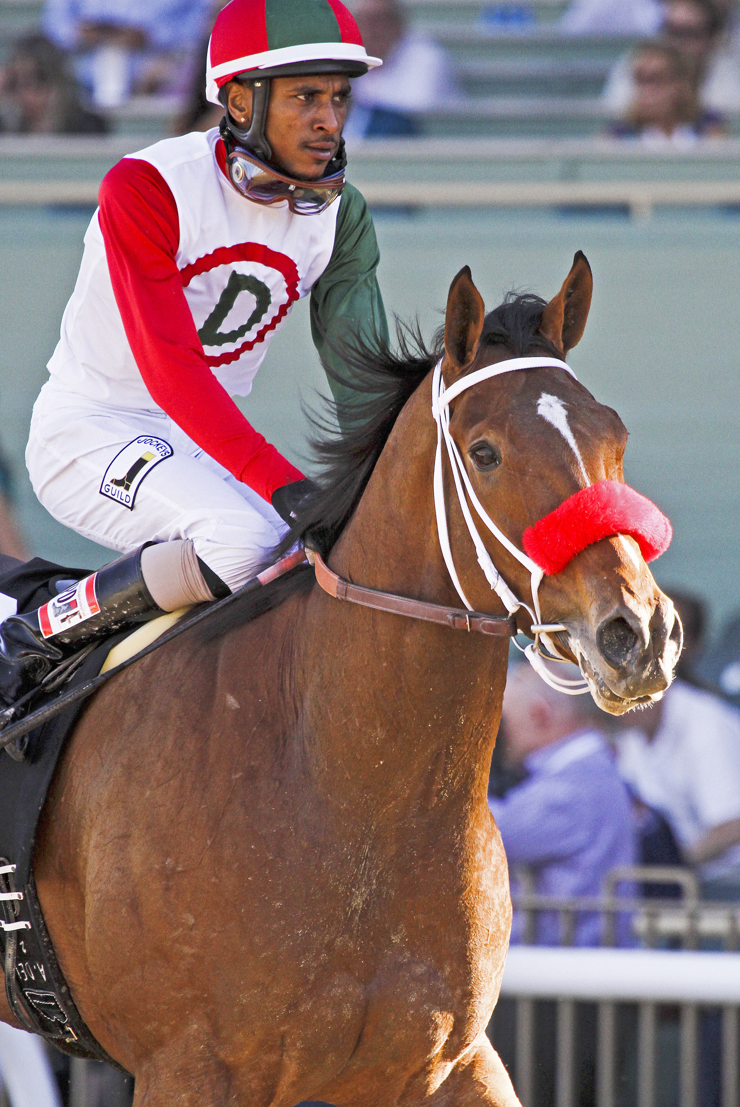 Broadway Empire in the Breeders' Cup Dirt Mile