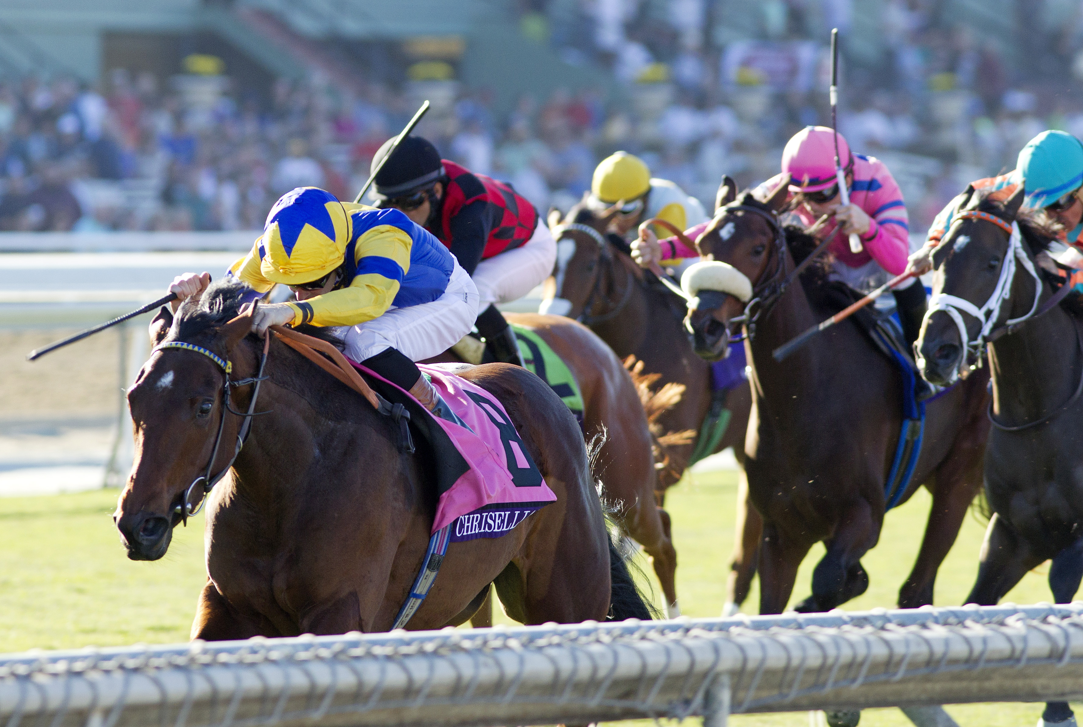 Chriselliam wins the Breeders' Cup Fillies Turf