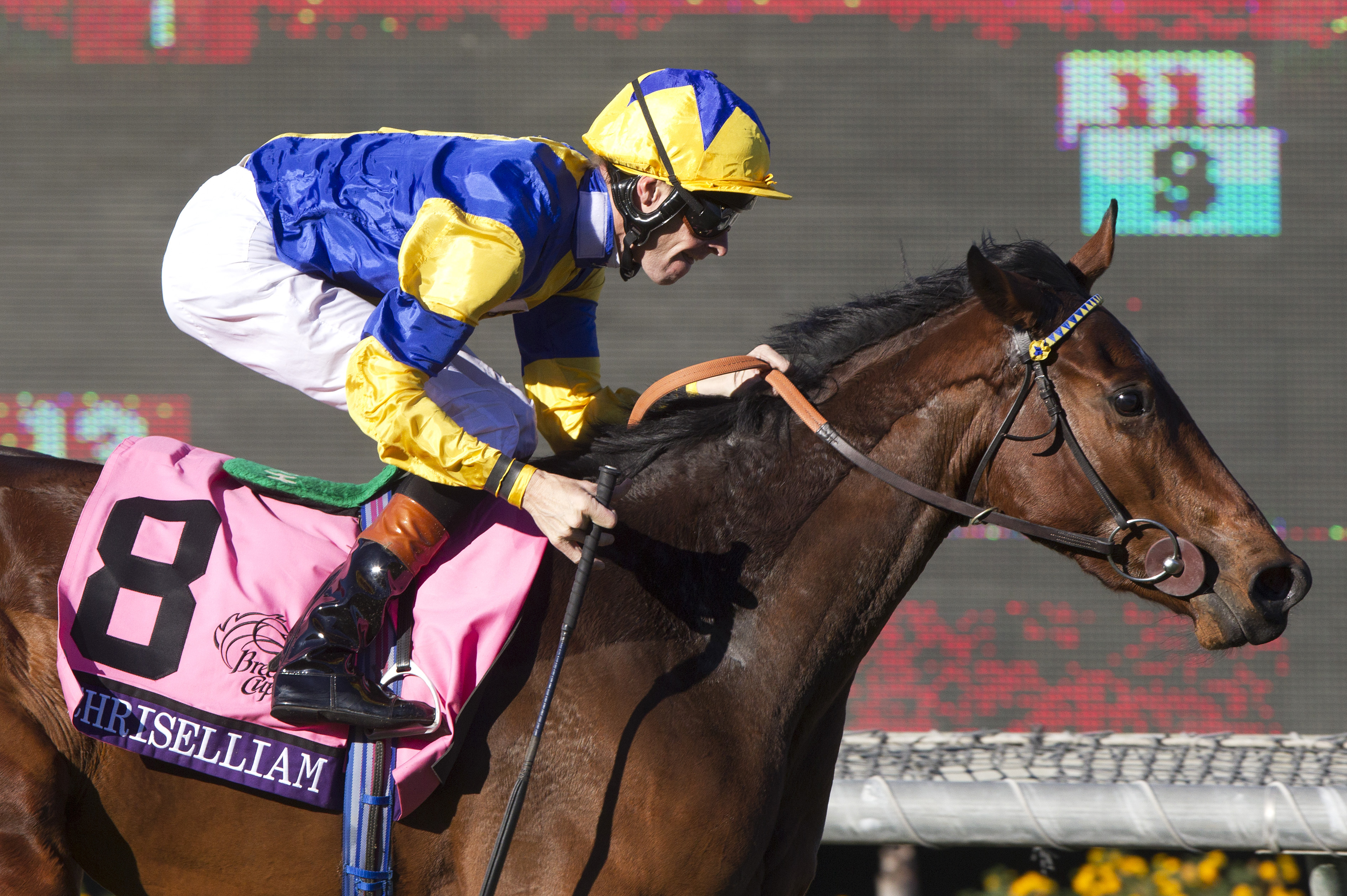 Chriselliam wins the Breeders' Cup Juvenile Fillies Turf