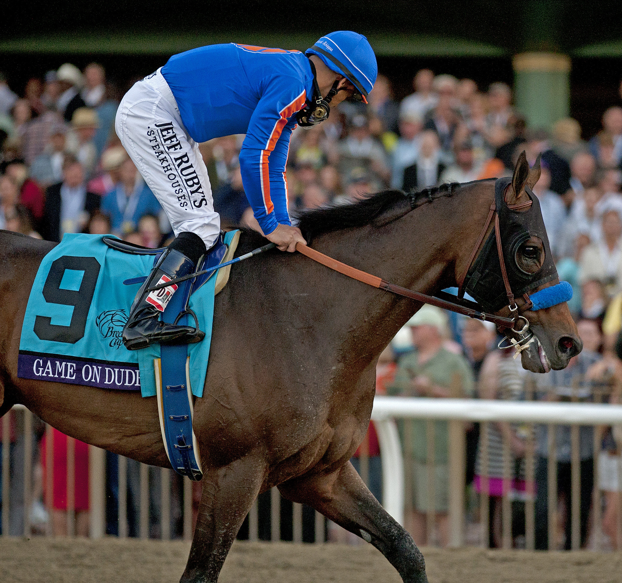 Game On Dude after the Breeders' Cup Classic