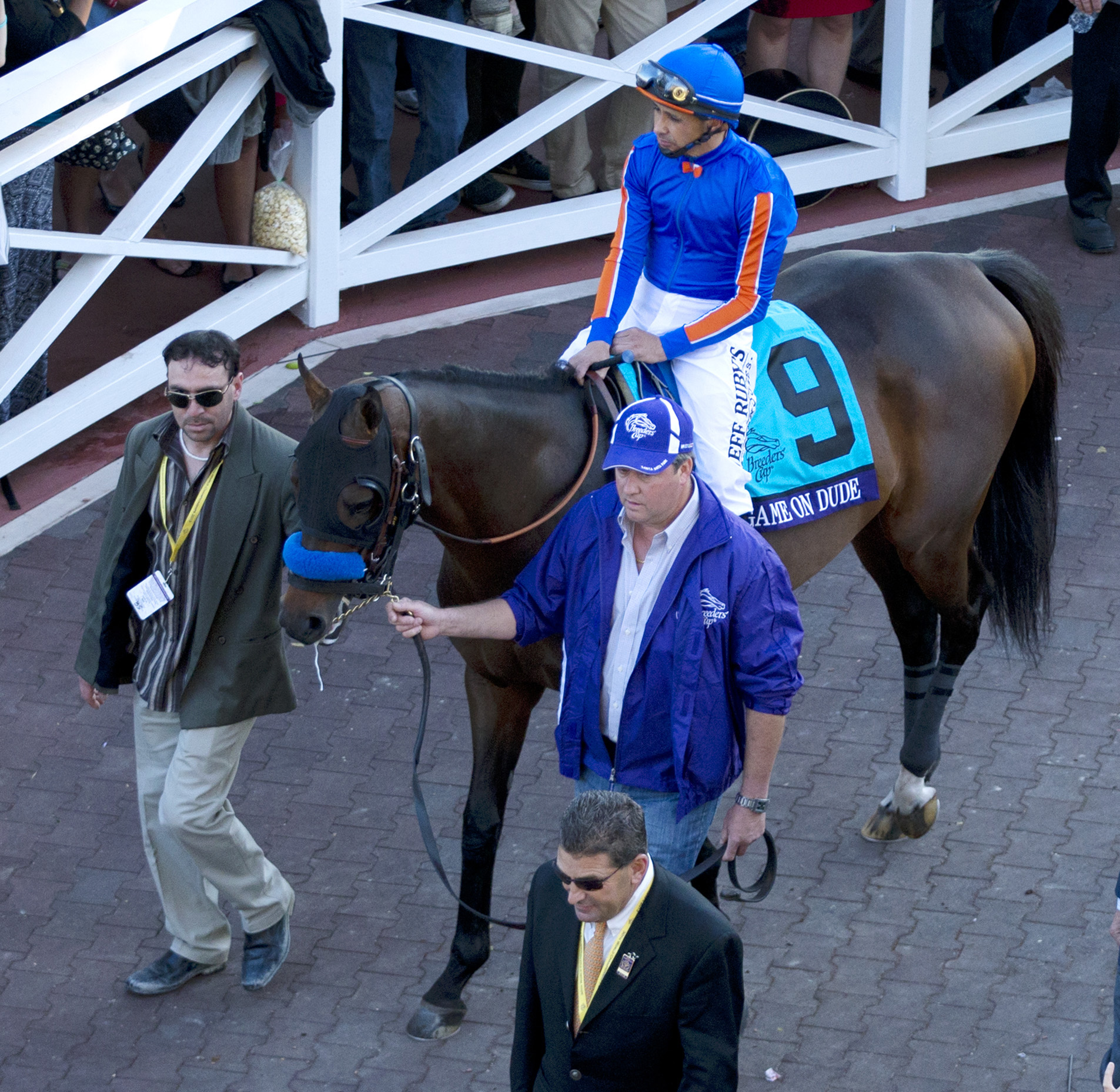 Game On Dude at the Breeders' Cup