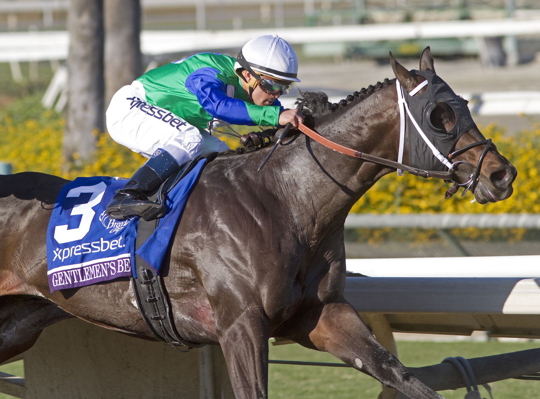 Gentlemen's Bet finishes third in the BC Sprint