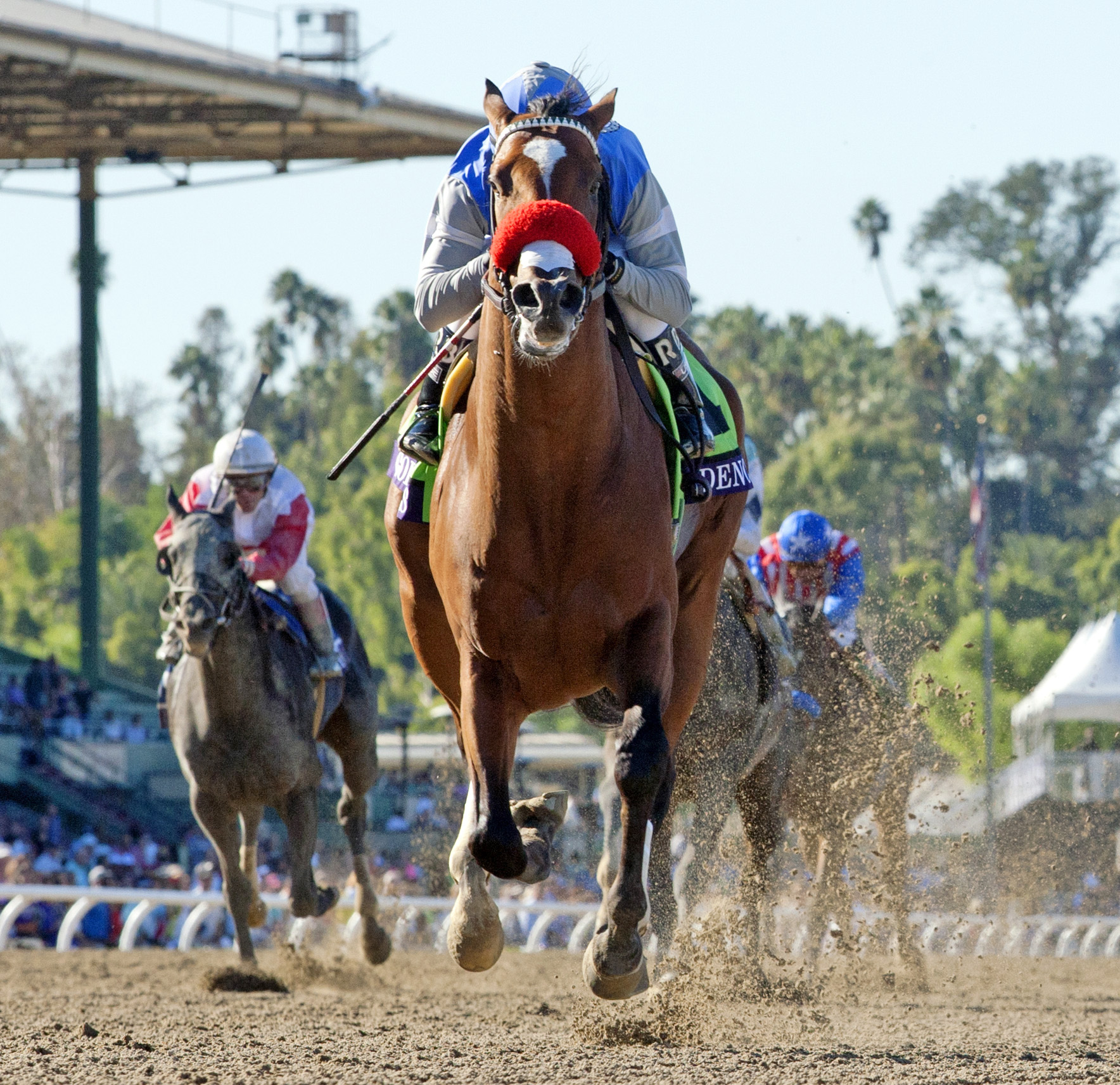 Goldencents wins the 2013 Breeders' Cup Dirt Mile
