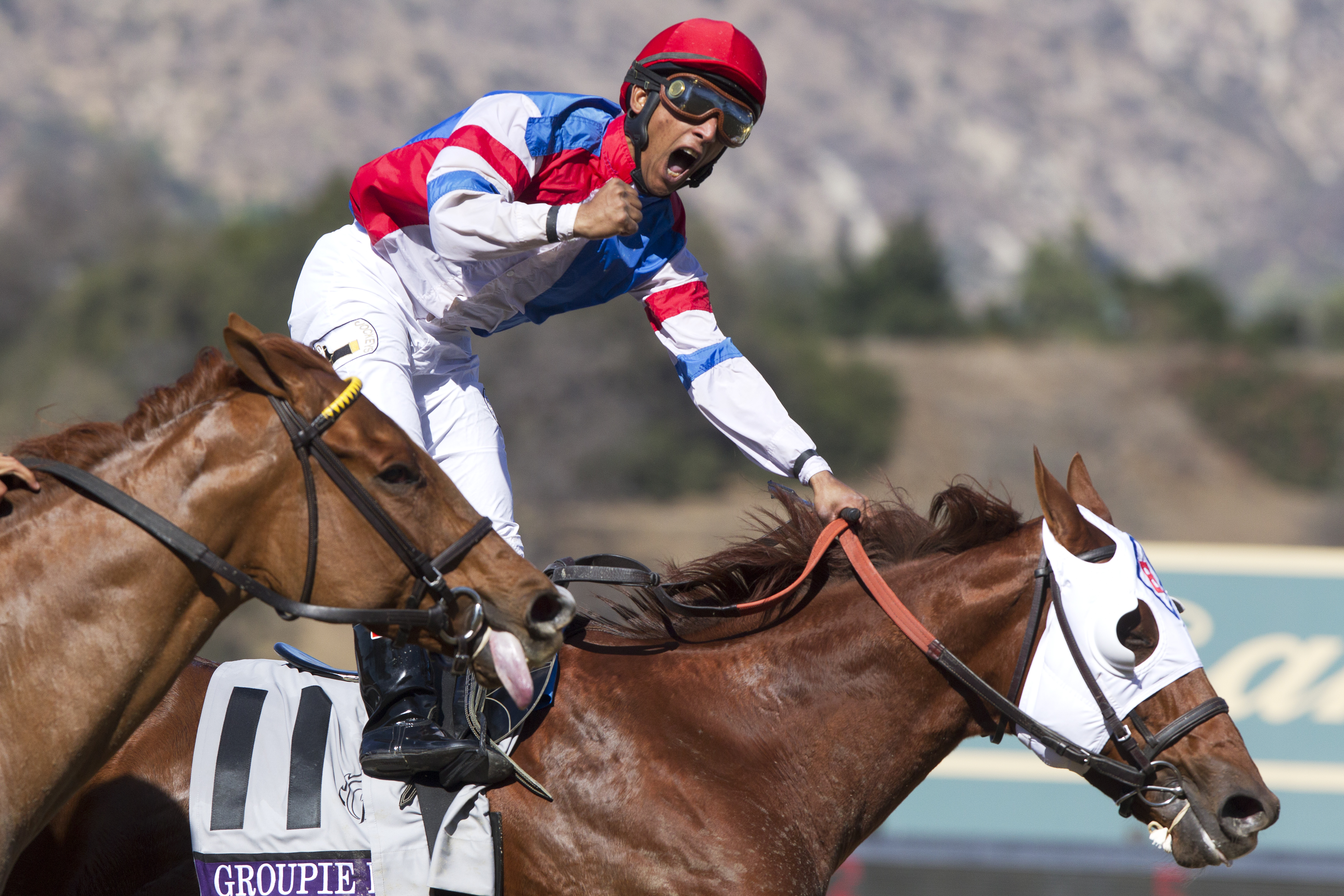 Groupie Doll wins the Breeders' Cup Filly & Mare Sprint