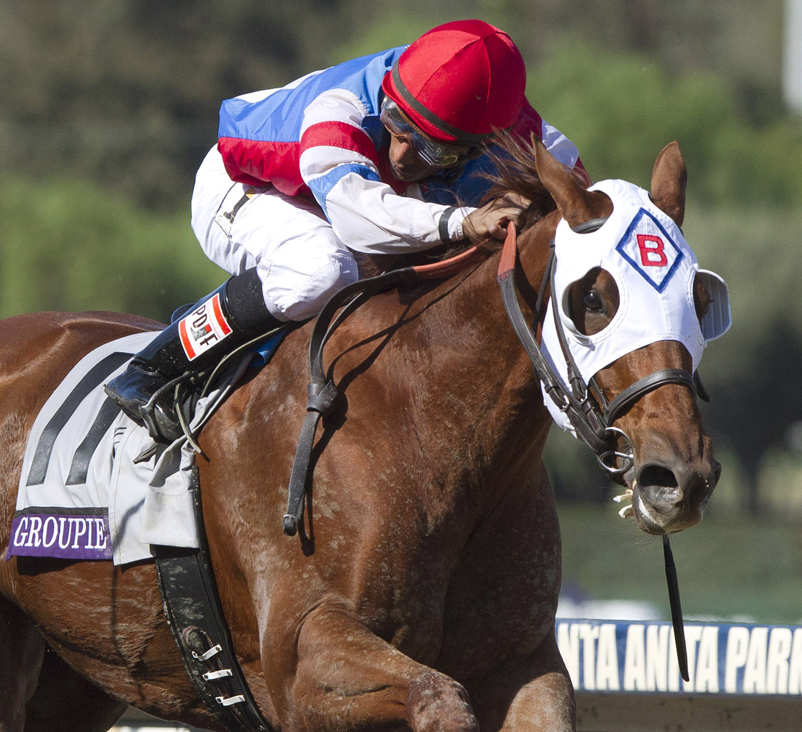 Groupie Doll, Filly and Mare Sprint 2013