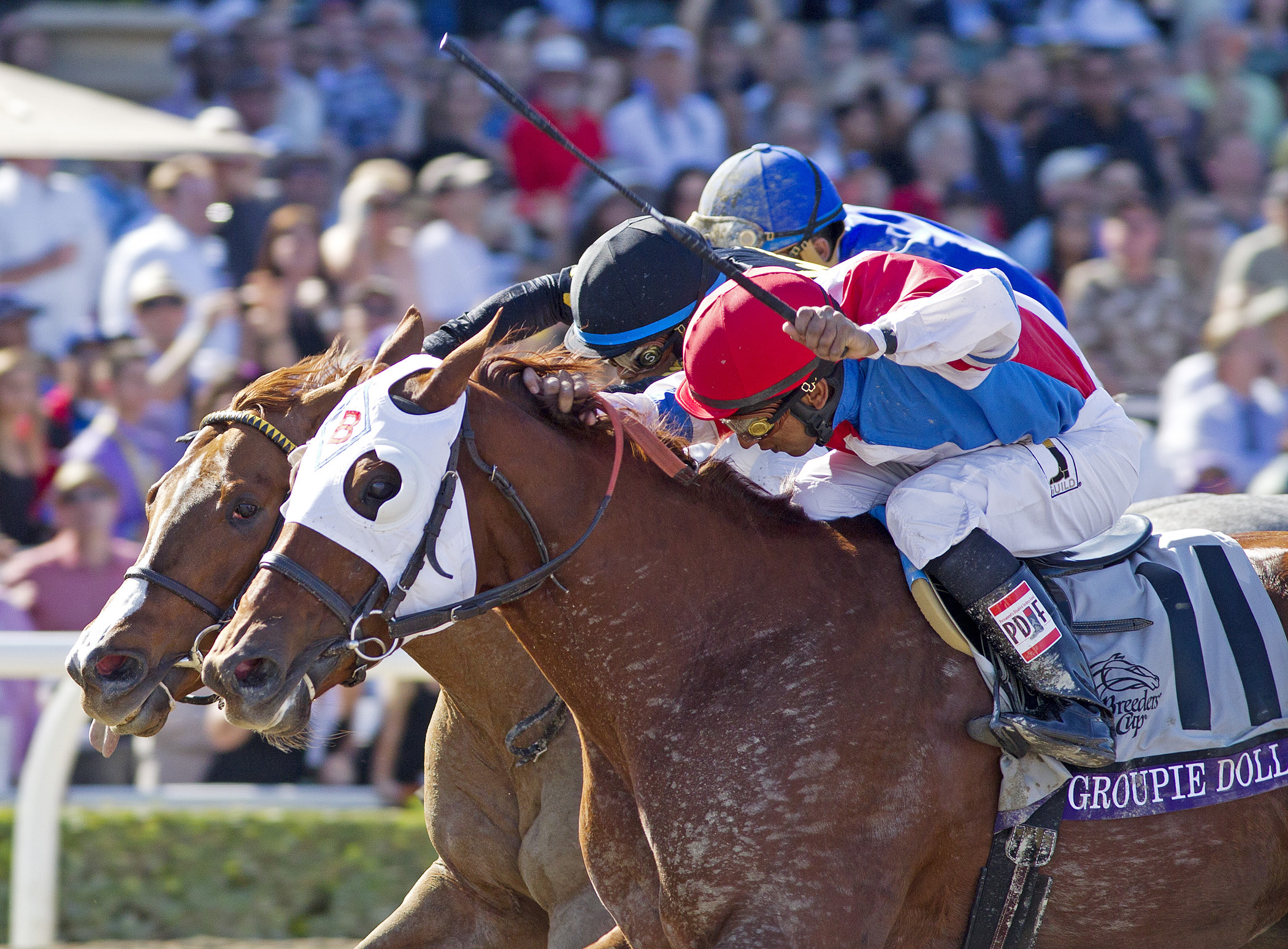 Groupie Doll wins the Breeders' Cup Filly & Mare Sprint