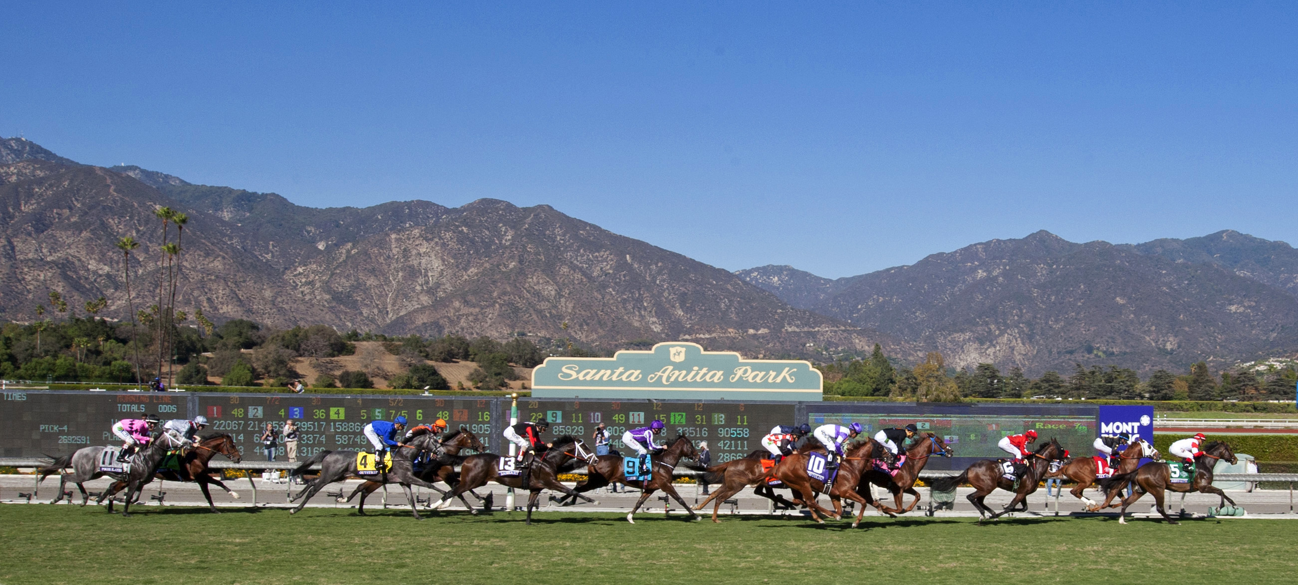 Santa Anita turf track