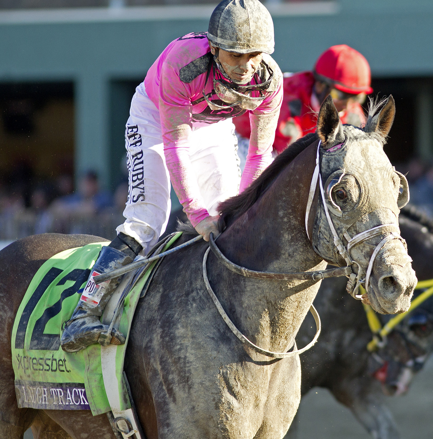 Laugh Track finishes second in Breeders' Cup Sprint