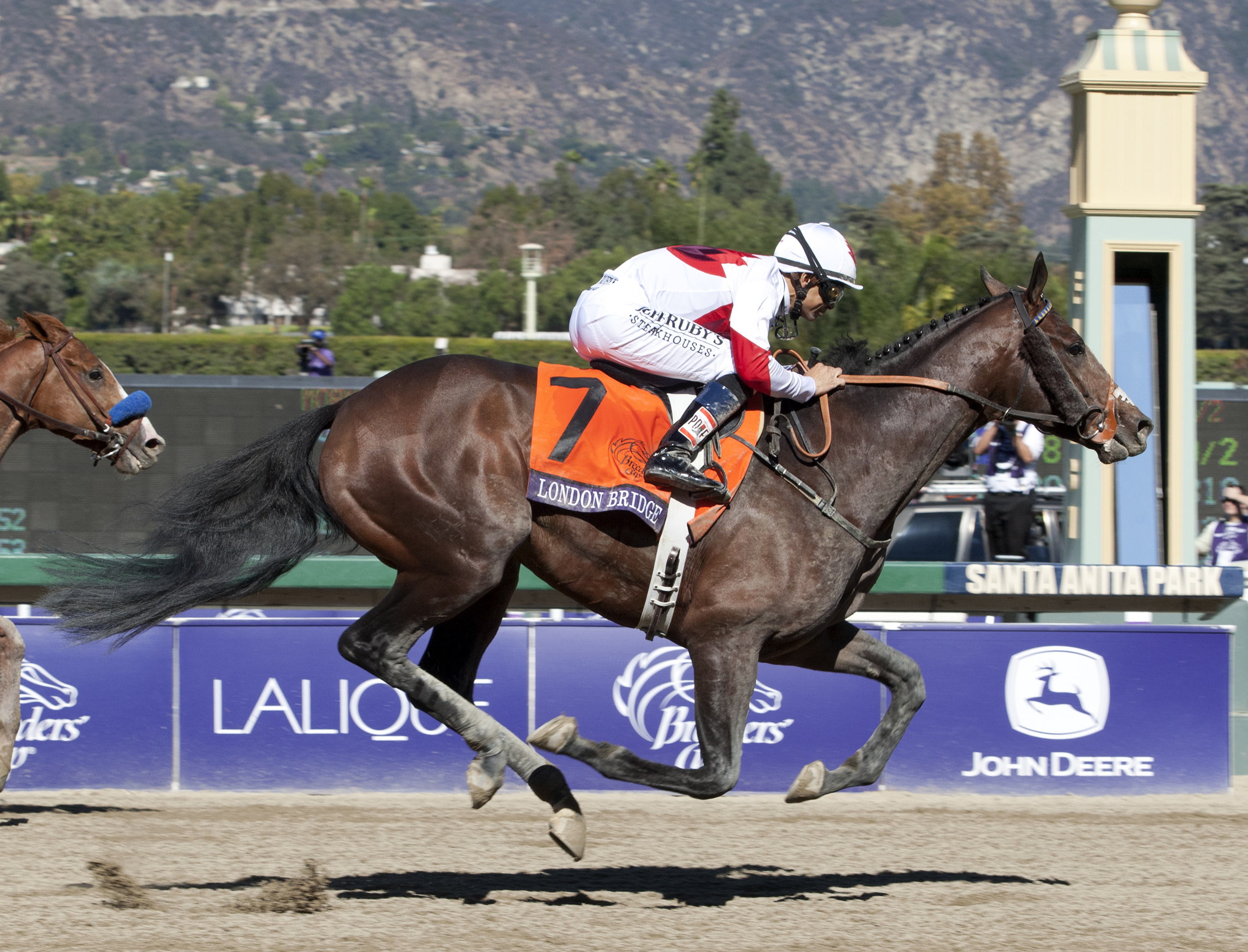 London Bridge wins the Breeders' Cup Marathon