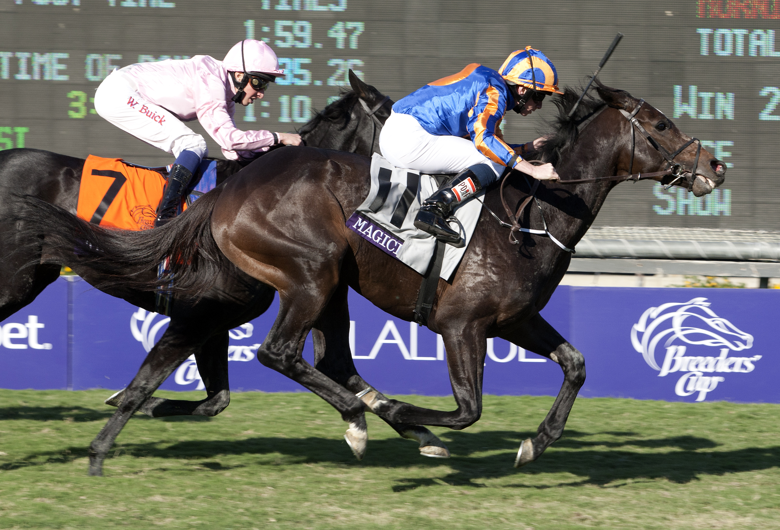 Magician wins the Breeders' Cup Turf