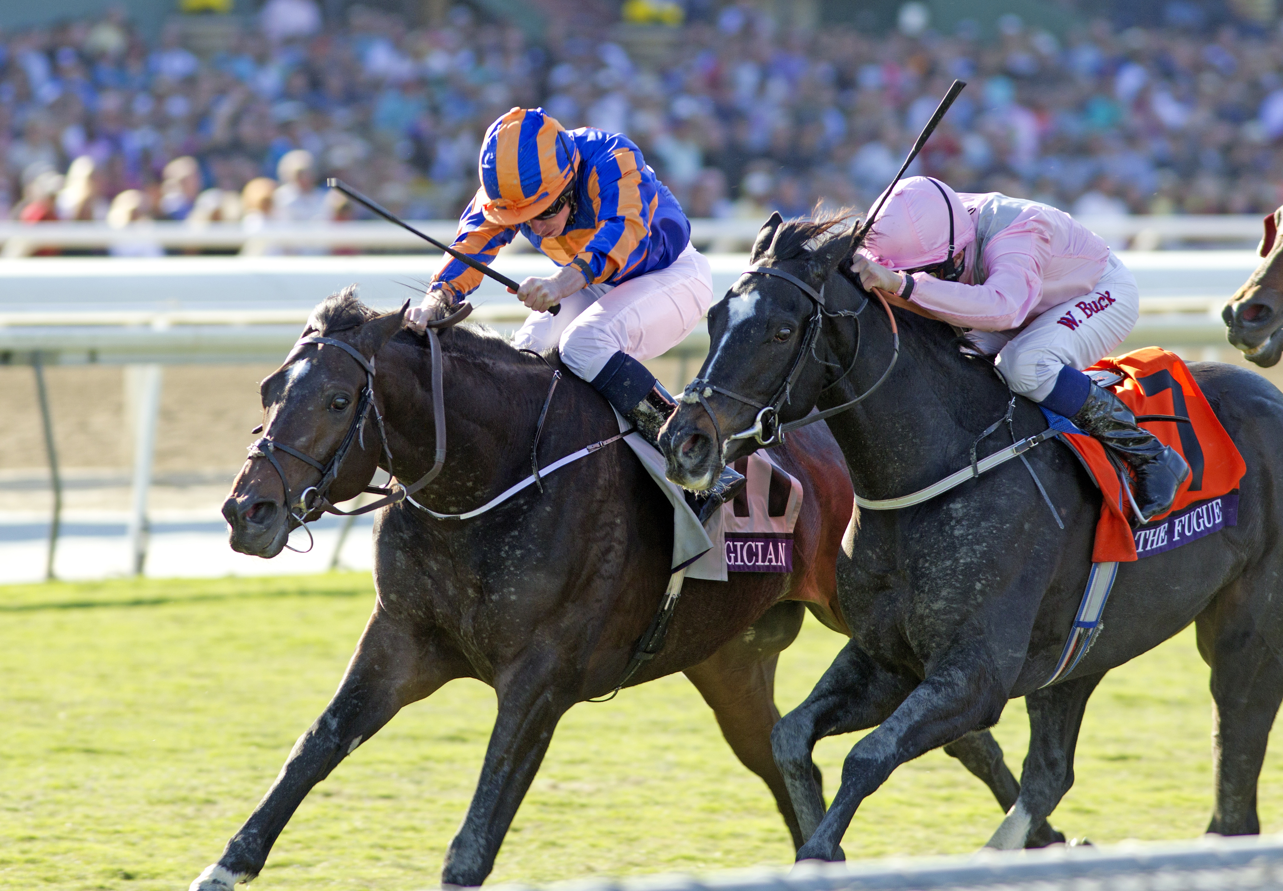Magician beats The Fugue to win the Breeders' Cup Turf