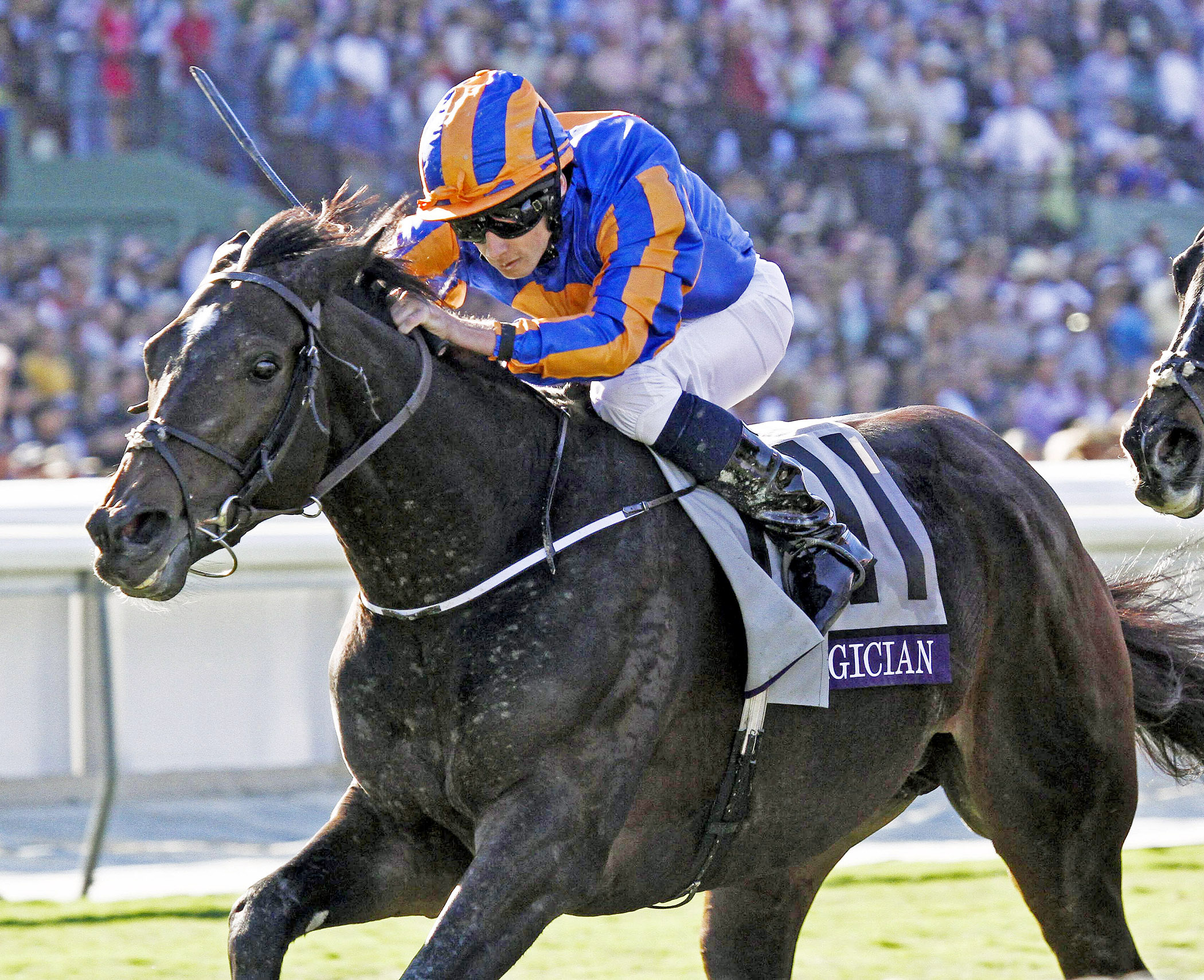 Magician wins the Breeders' Cup Turf