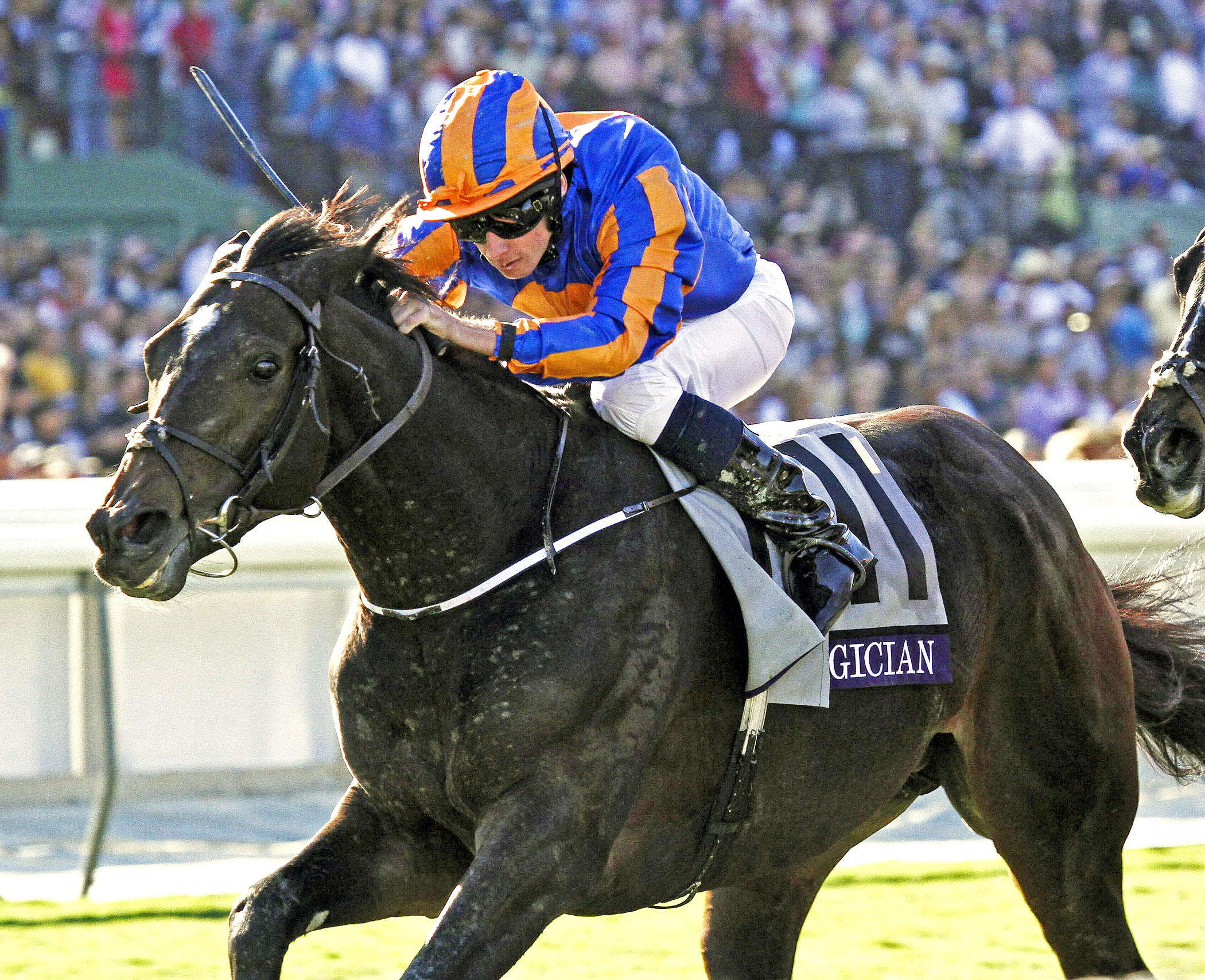 Magician wins the 2013 Breeders' Cup Turf
