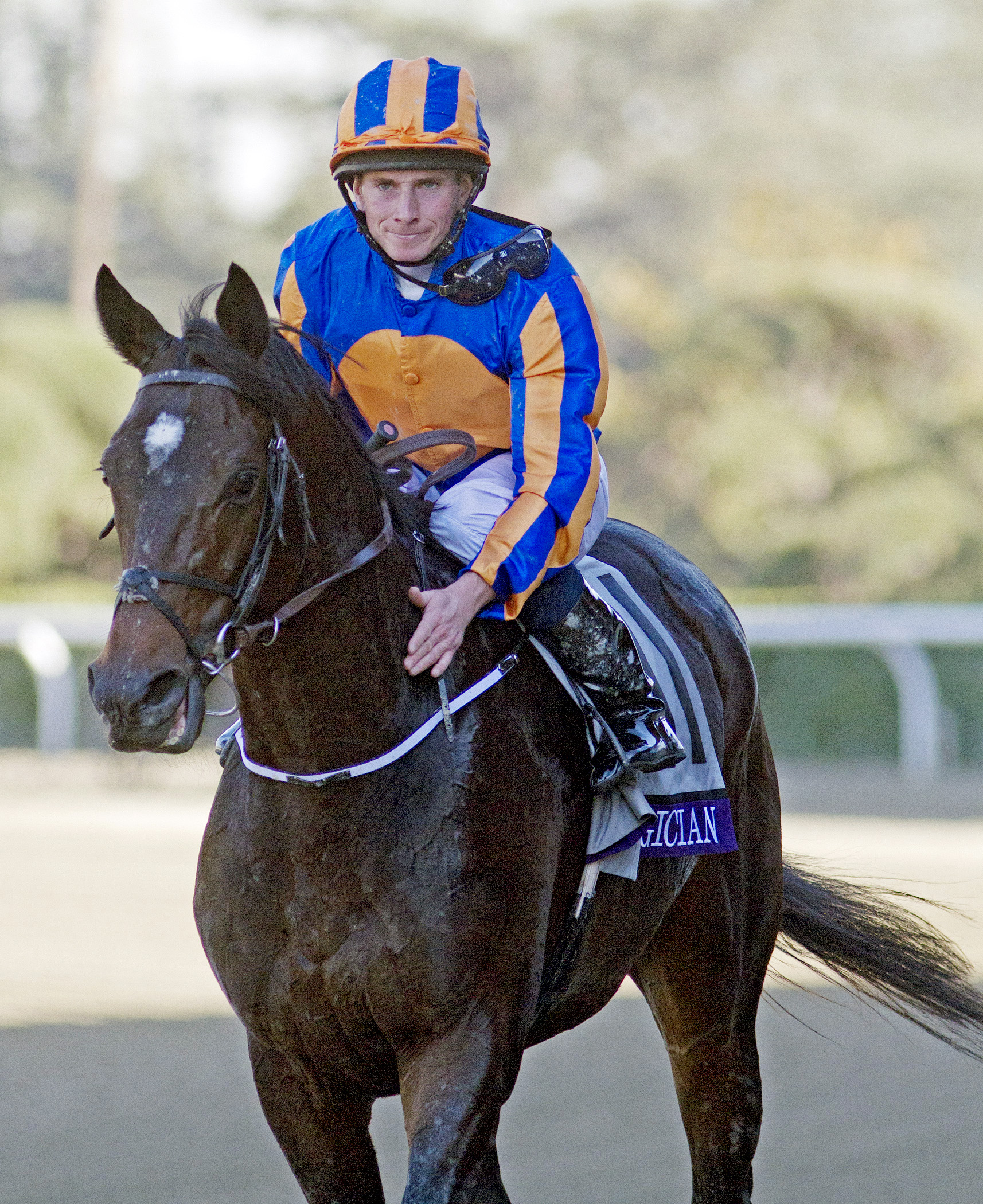Magician after winning the Breeders' Cup Turf