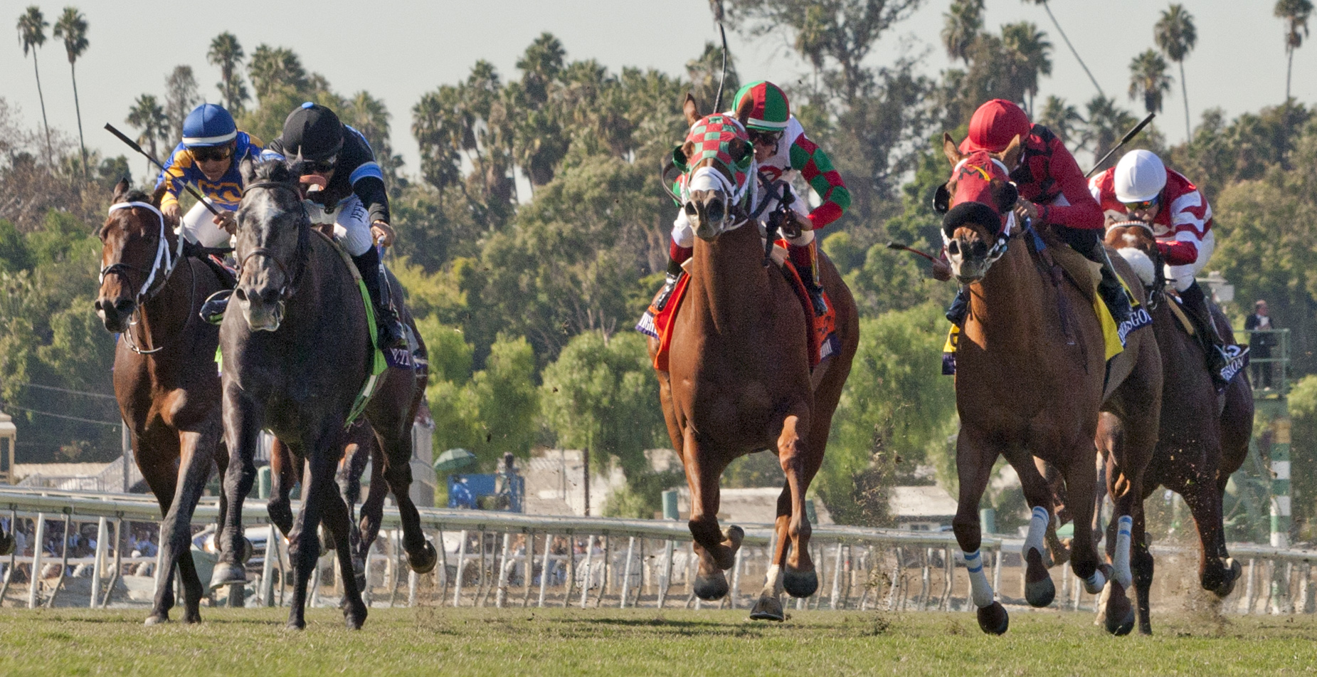 Mizdirection wins the Breeders' Cup Turf Sprint