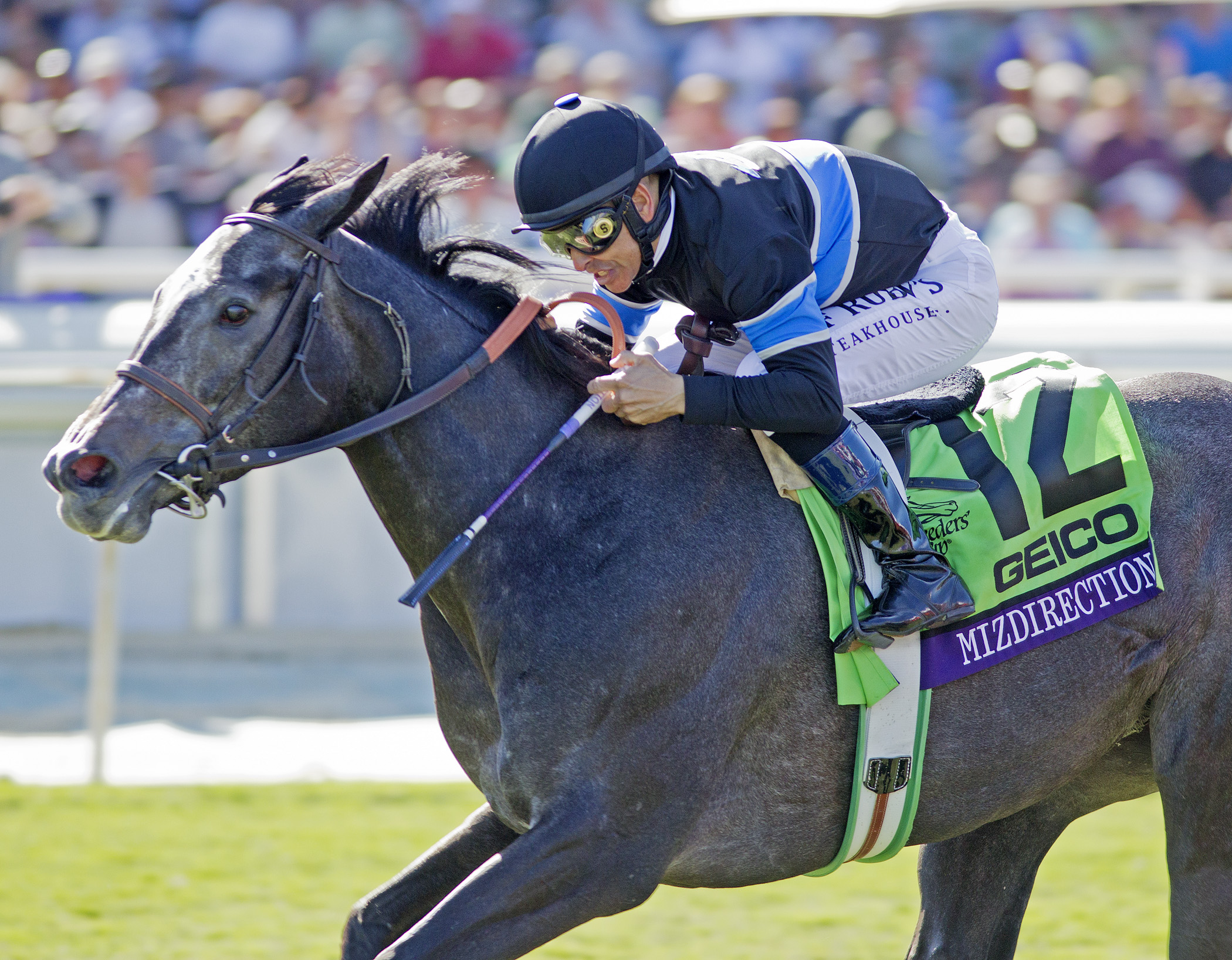 Mizdirection wins the 2013 Breeders' Cup Turf Sprint