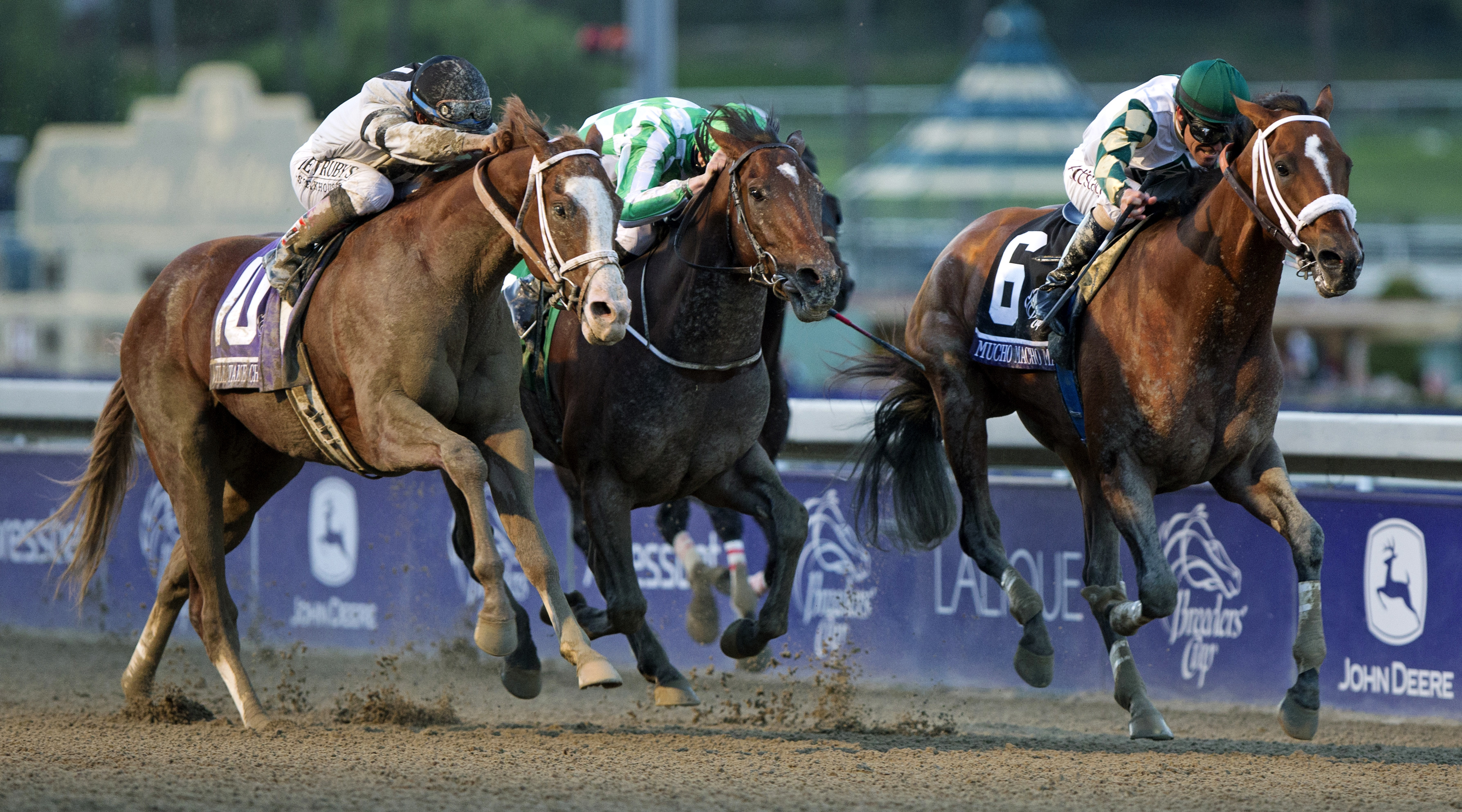Mucho Macho Man wins the 2013 Breeders' Cup Classic