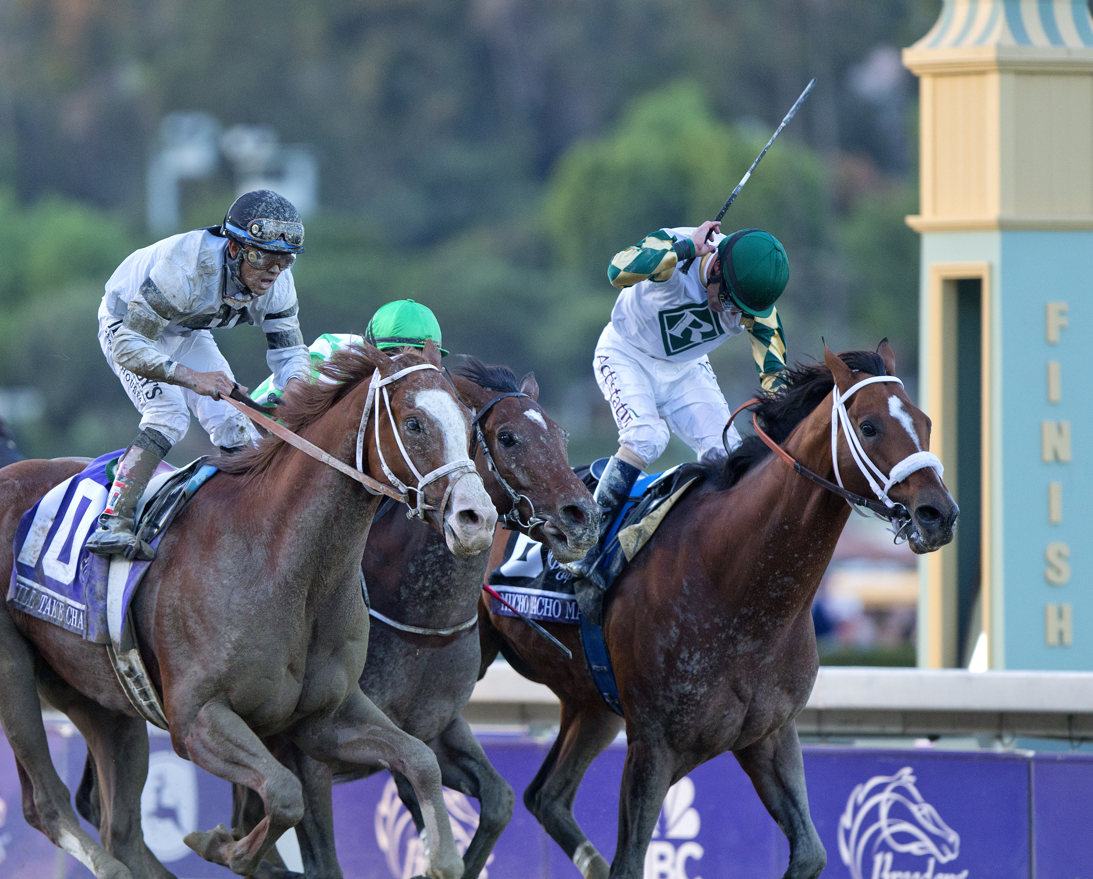 Will Take Charge and Mucho Macho Man, BC Classic