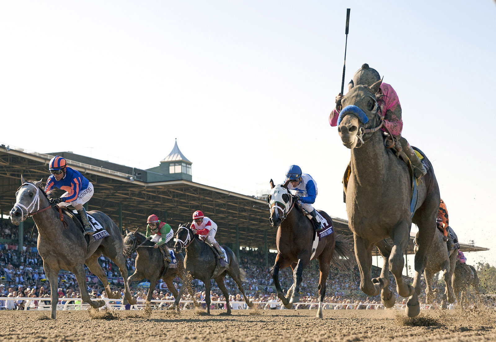 New Year's Day wins the Breeders' Cup Juvenile