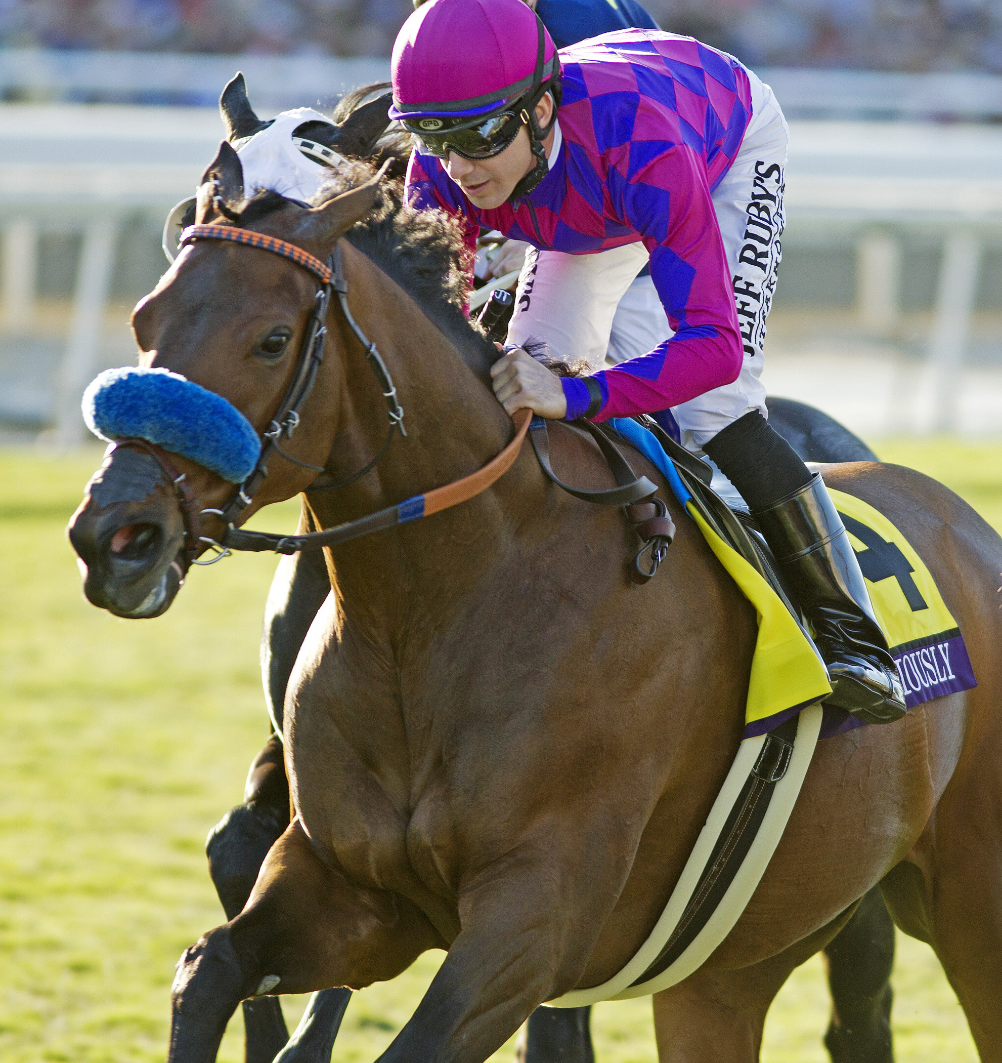 Obviously finishes fifth in the Breeders' Cup Mile