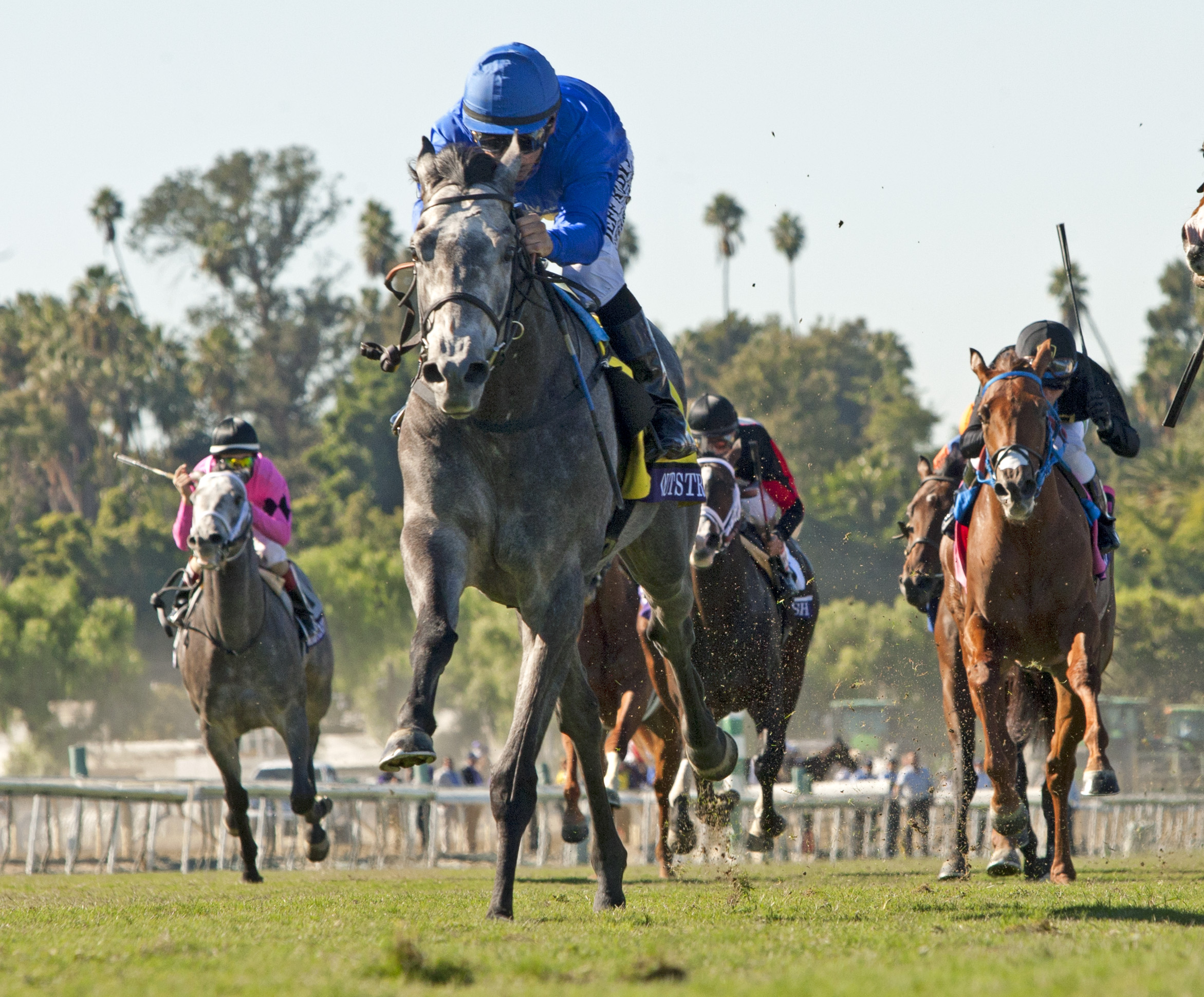 Outstrip wins the Breeders' Cup Juvenile Turf