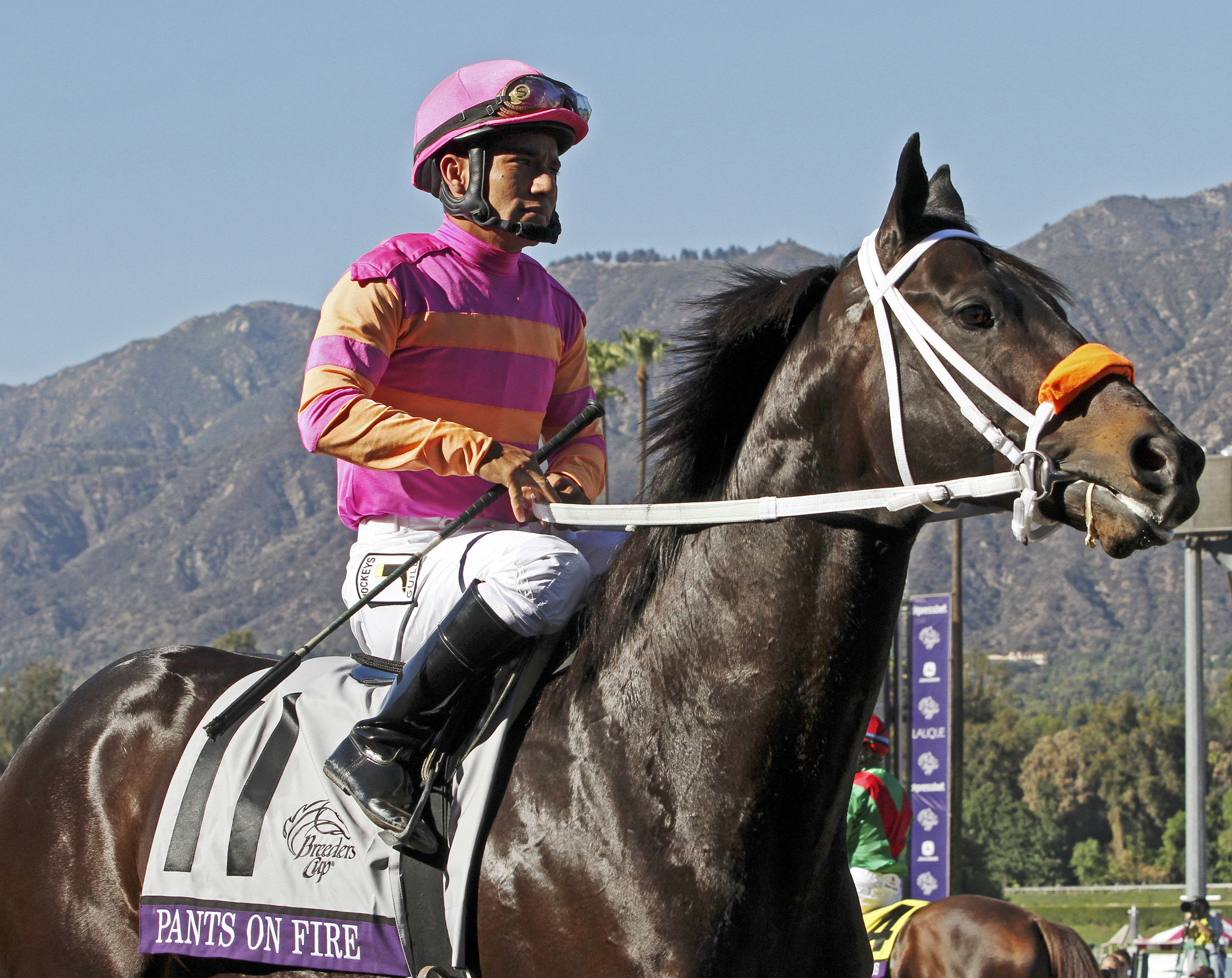 Pants On Fire at the Breeders' Cup