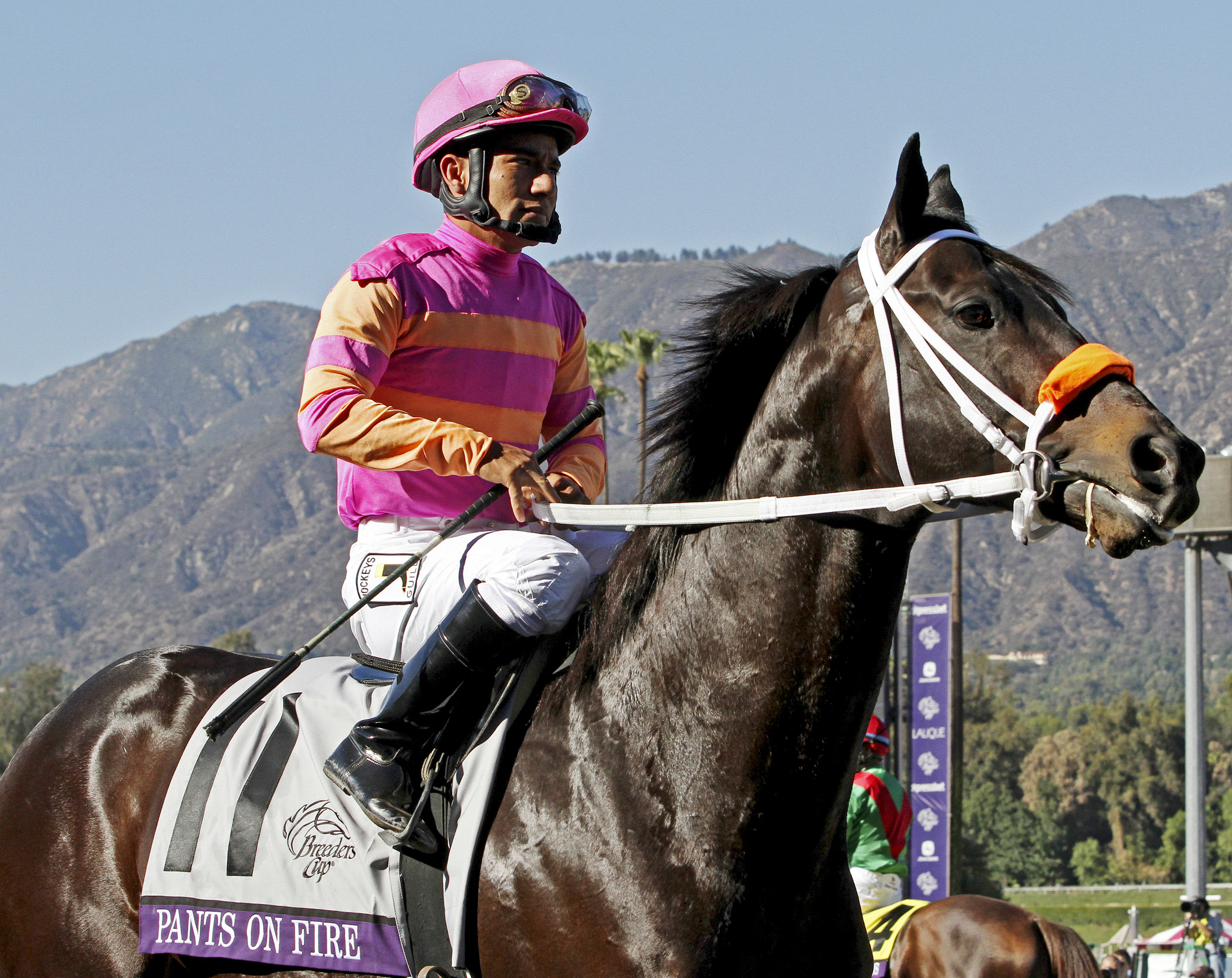 Pants On Fire at the Breeders' Cup