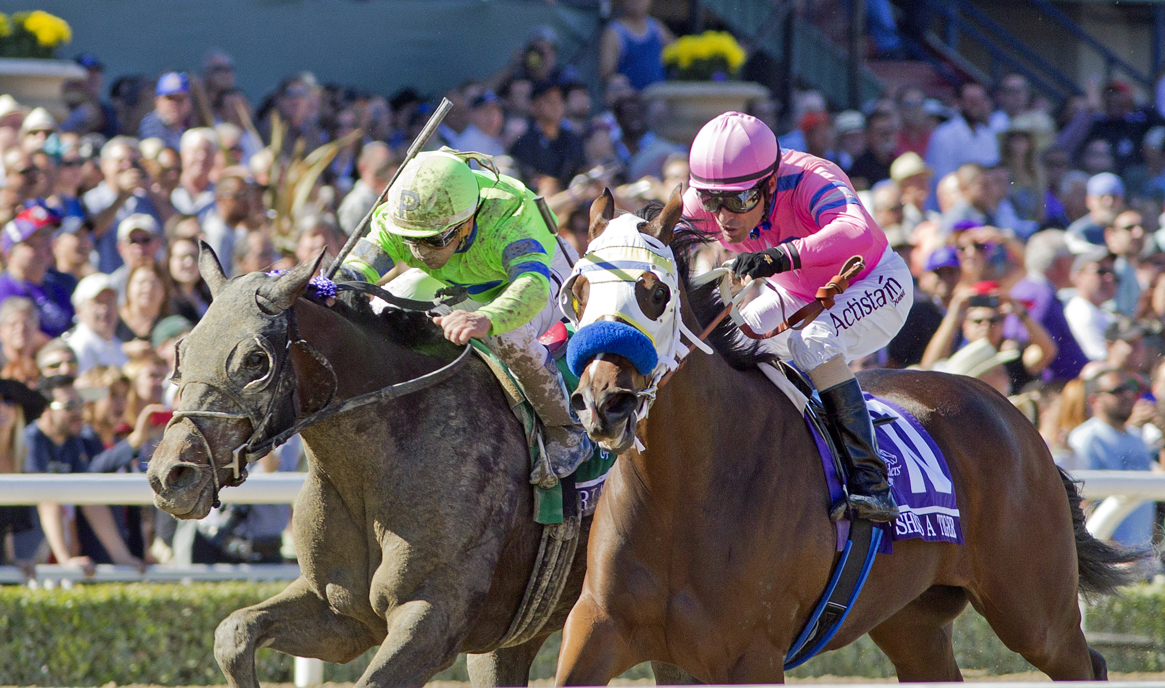 She's a Tiger and Ria Antonia in the BC Juvenile Fillies
