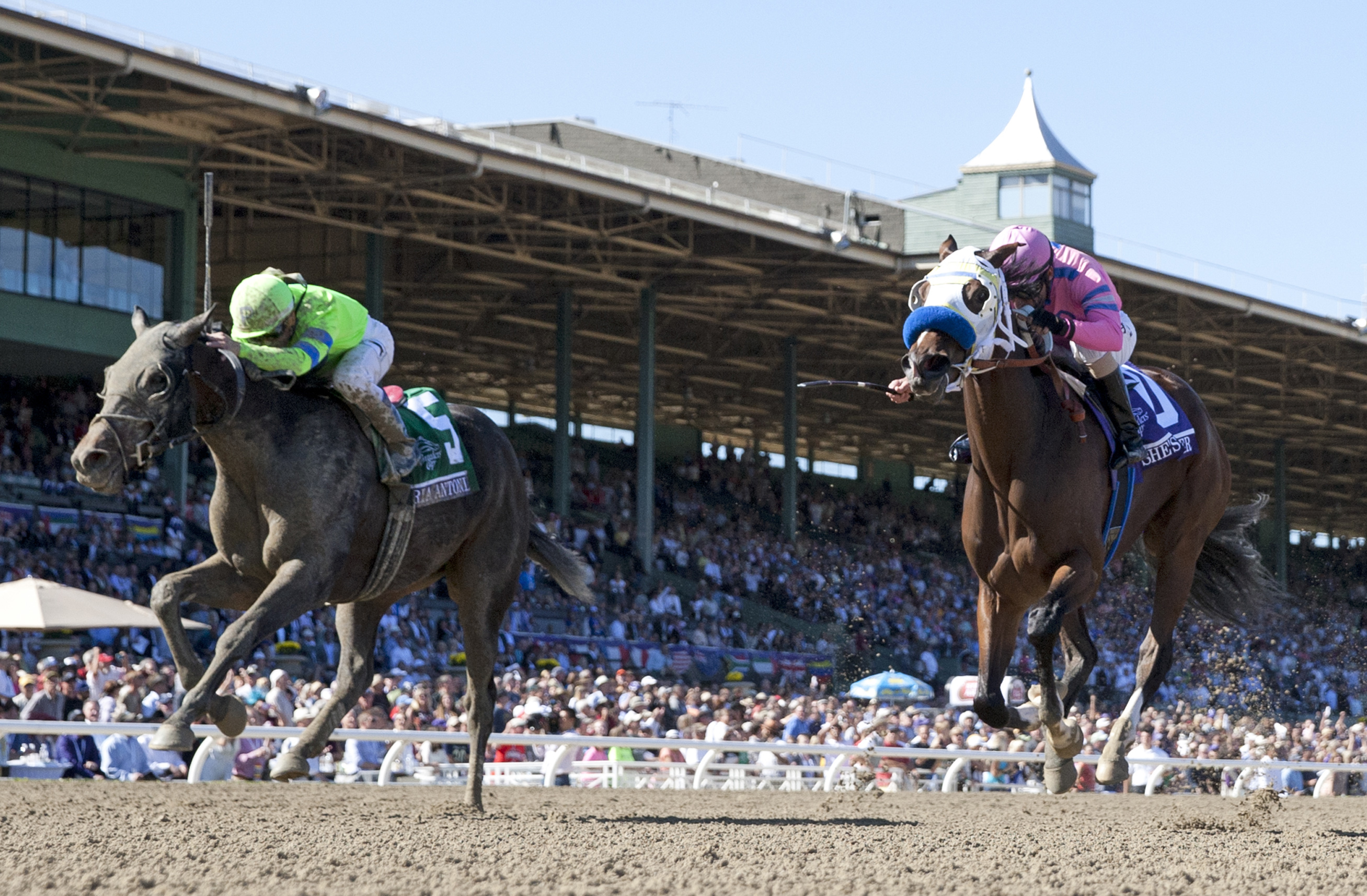 She's a Tiger and Ria Antonia in the BC Juvenile Fillies