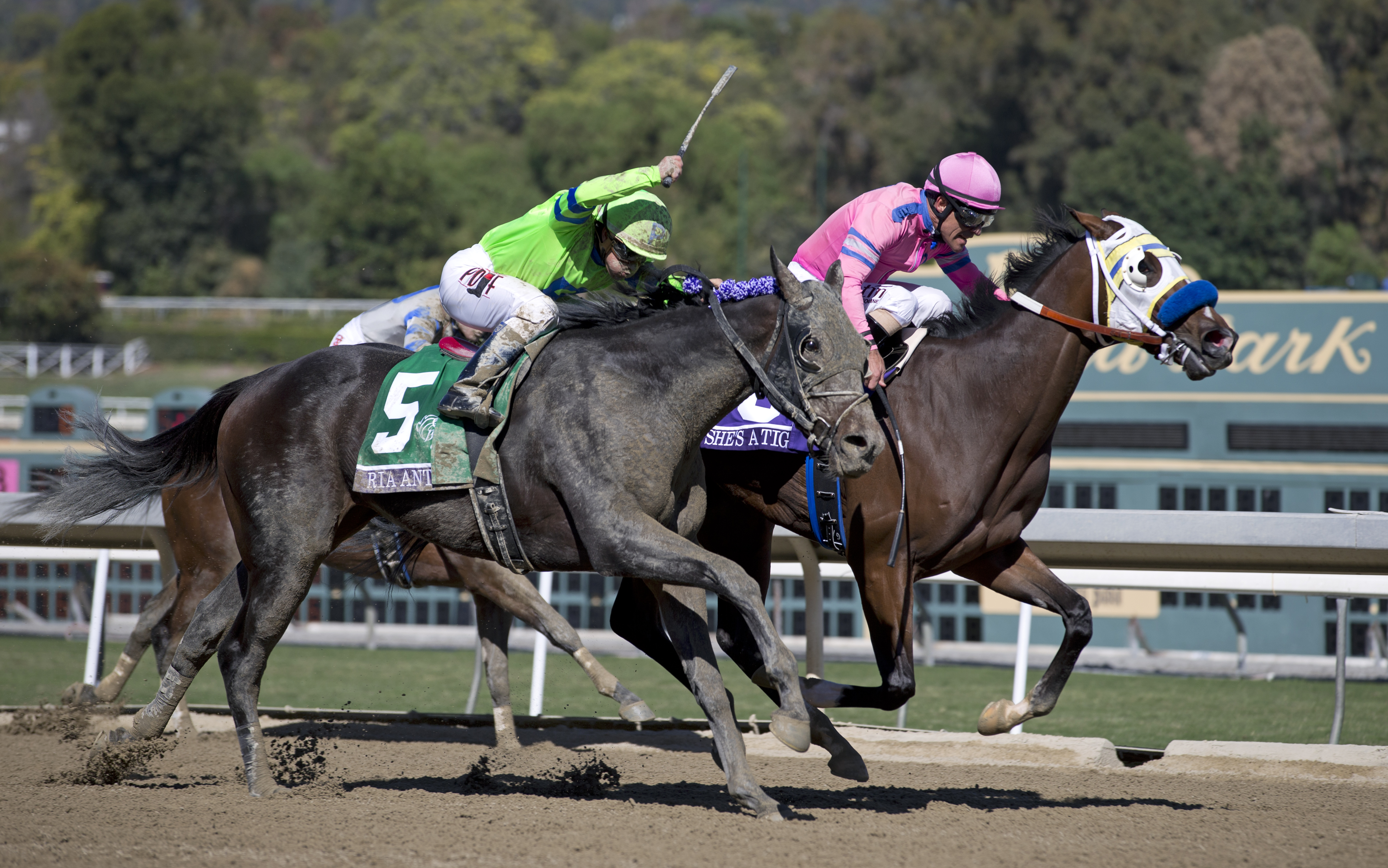 Ria Antonia wins the Breeders' Cup Juvenile Fillies
