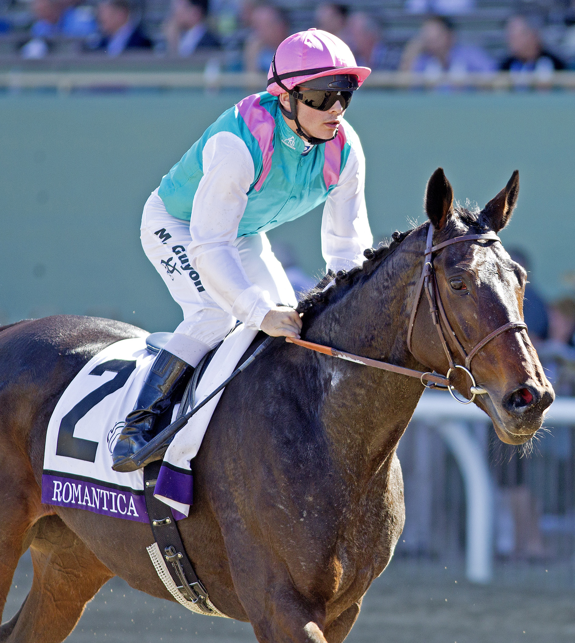 Romantica at the Breeders' Cup
