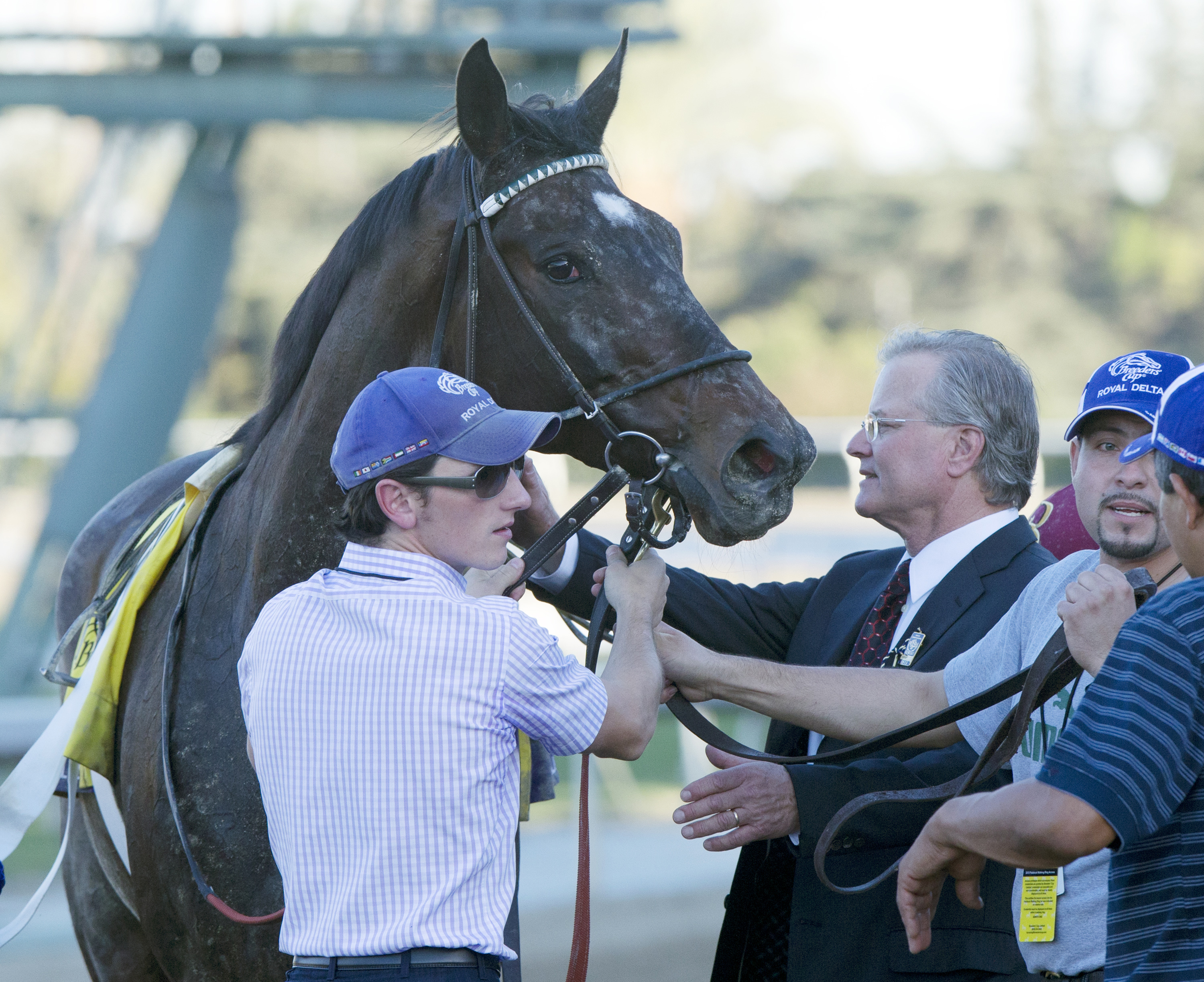 Trainer Bill Mott with Royal Delta after the Breeders' Cup Distaff
