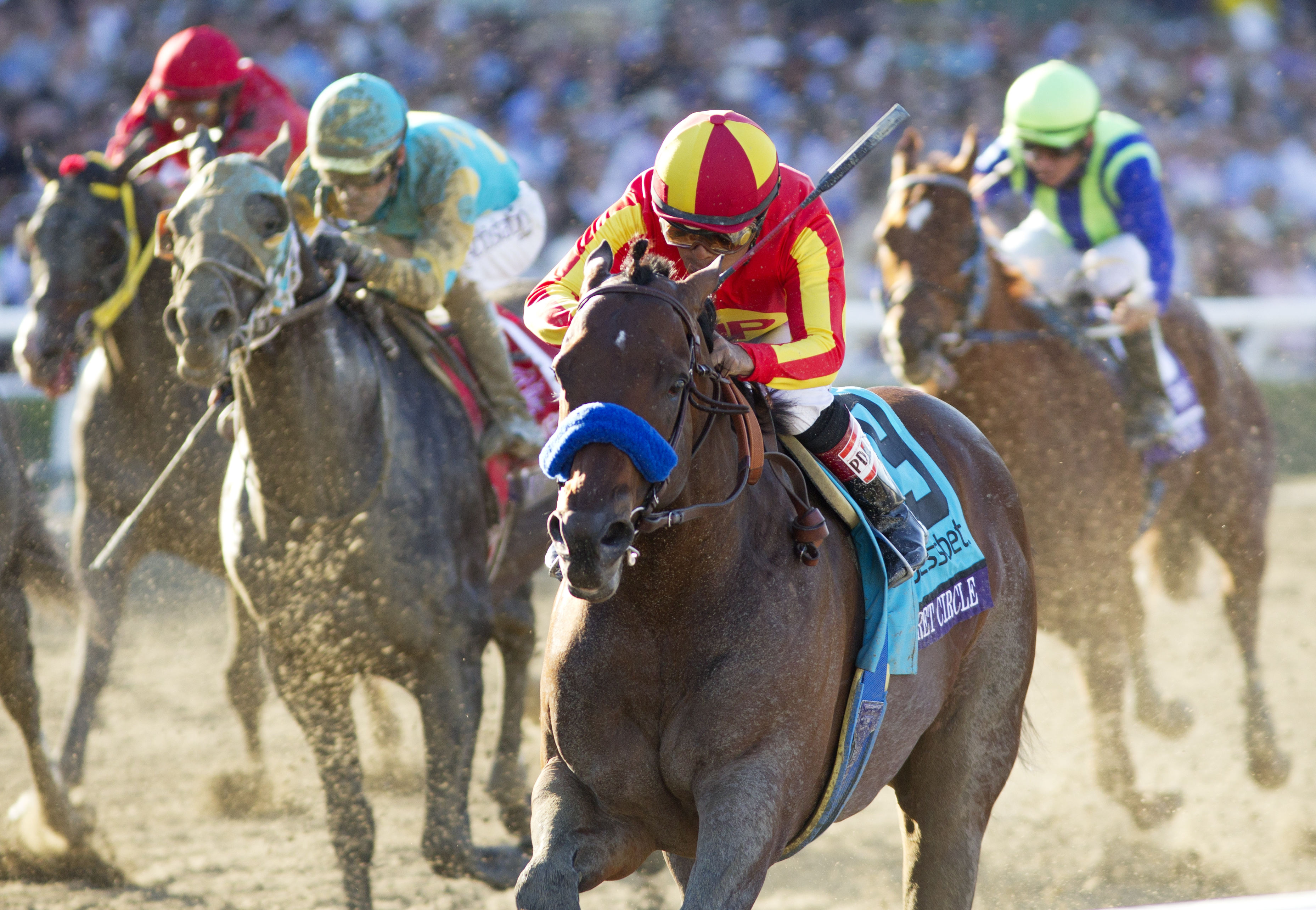 Secret Circle wins the Breeders' Cup Sprint