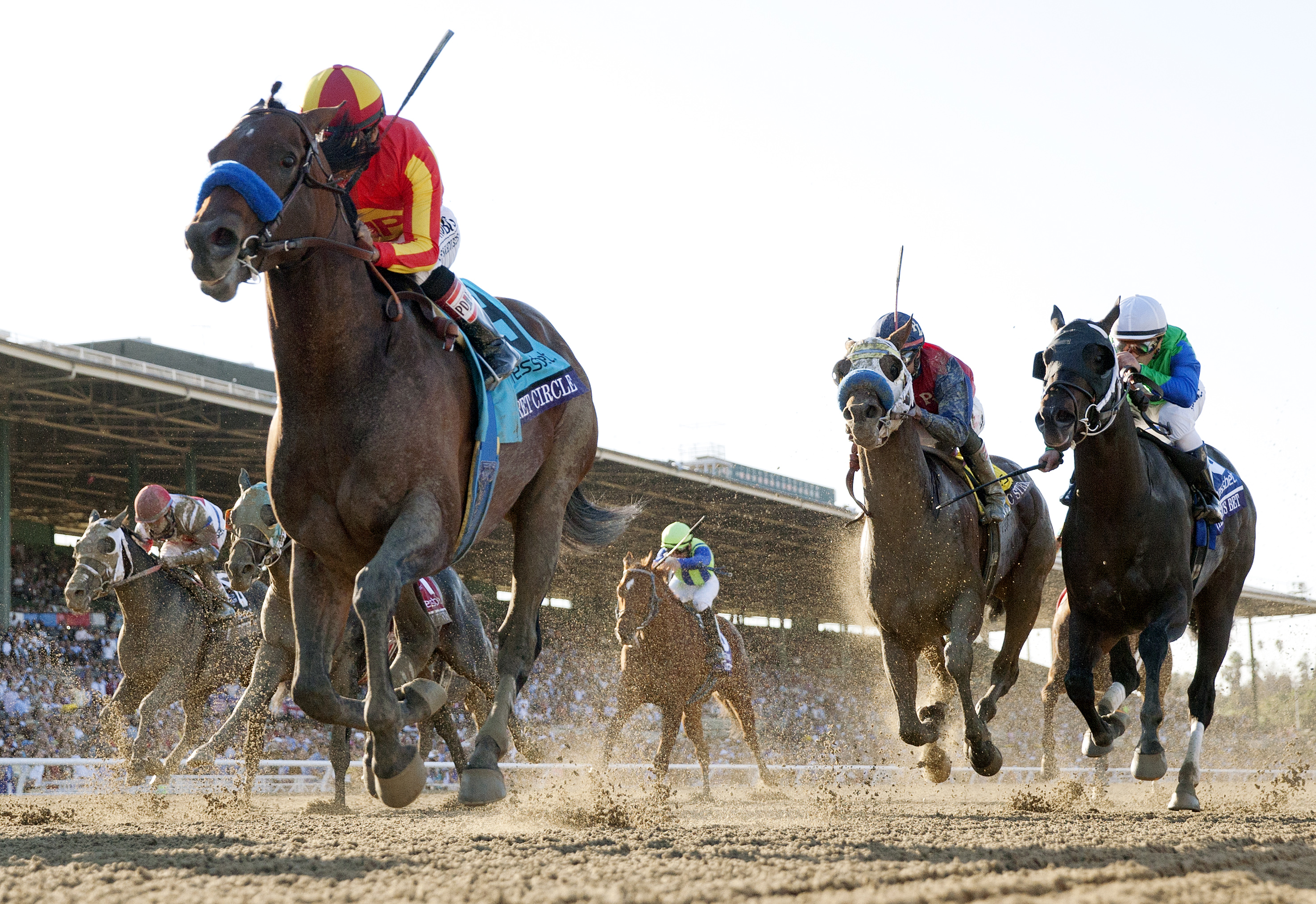 Secret Circle wins the 2013 Breeders' Cup Sprint