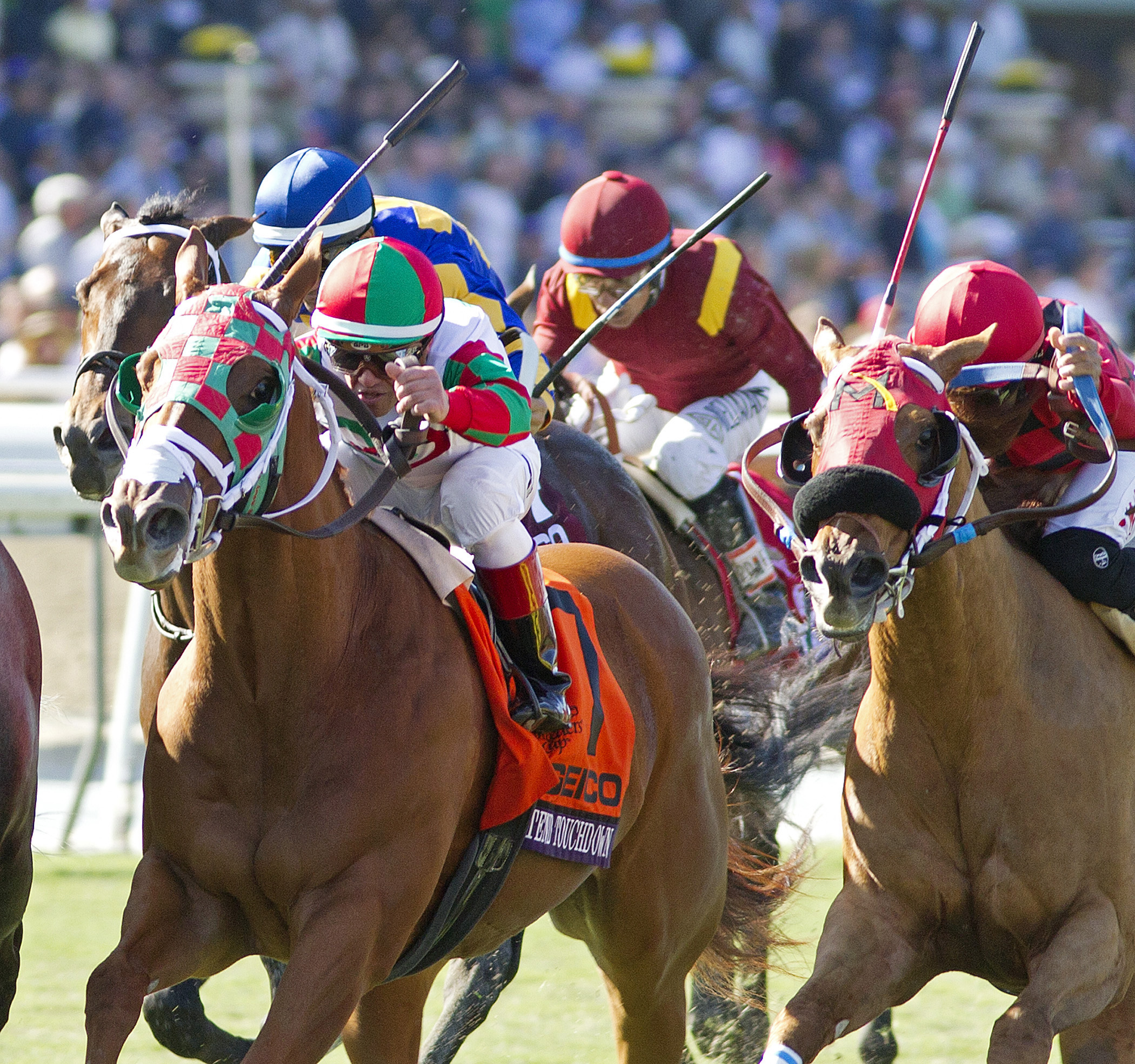 Tightend Touchdown finishes second in the 2013 Breeders' Cup Turf Sprint