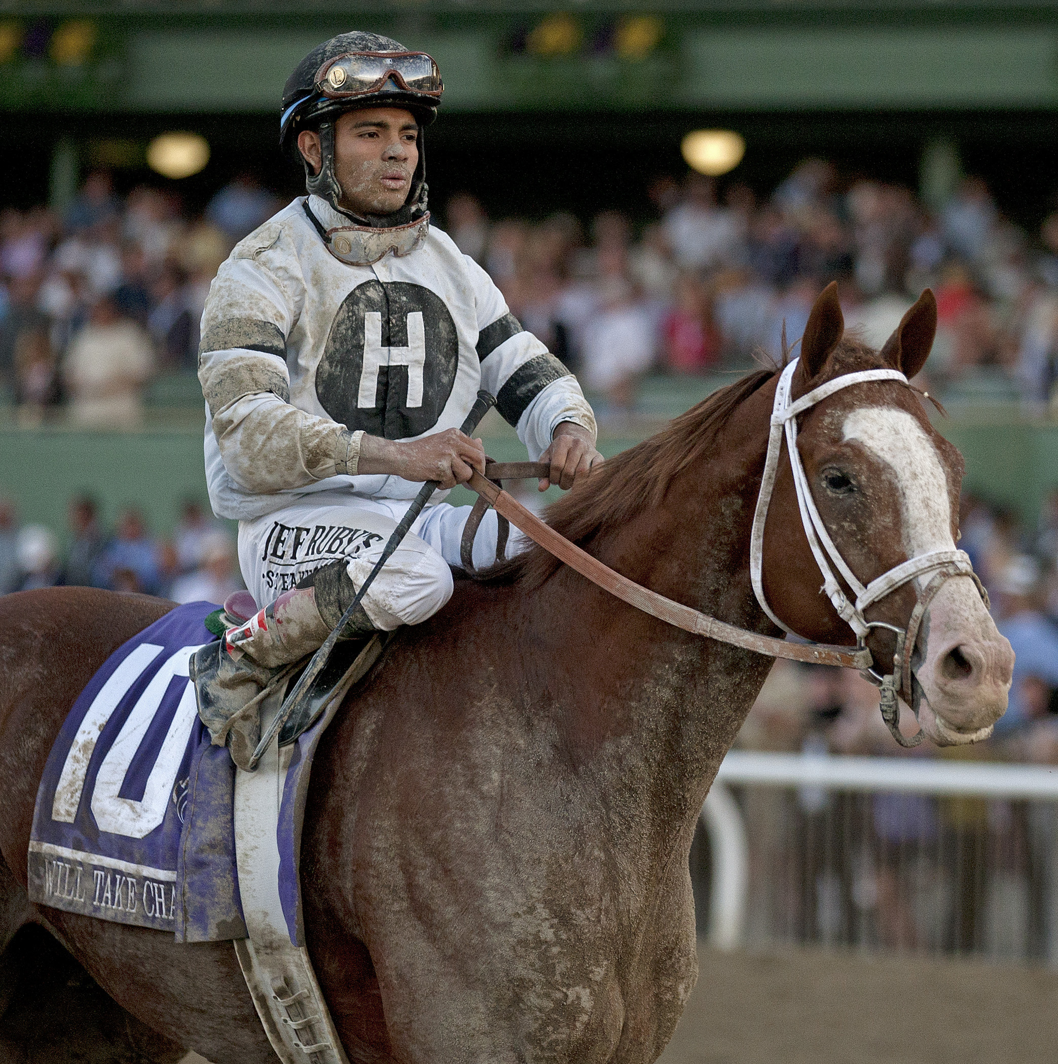 Will Take Charge at the Breeders' Cup