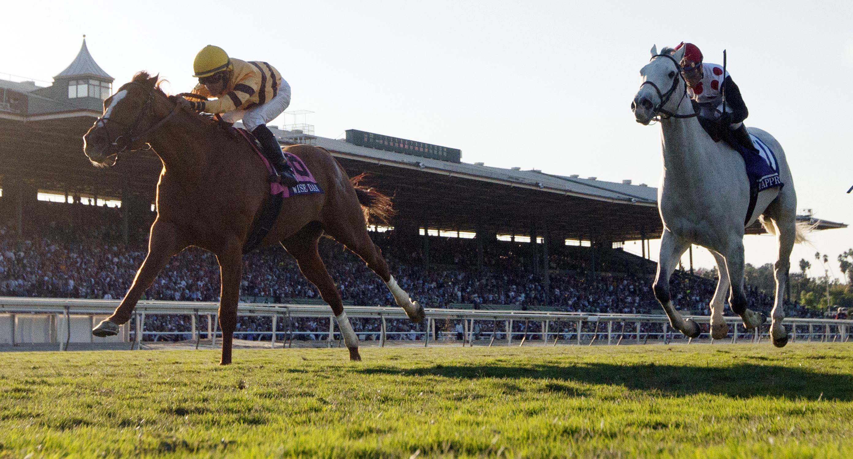 Wise Dan wins the Breeders' Cup Mile