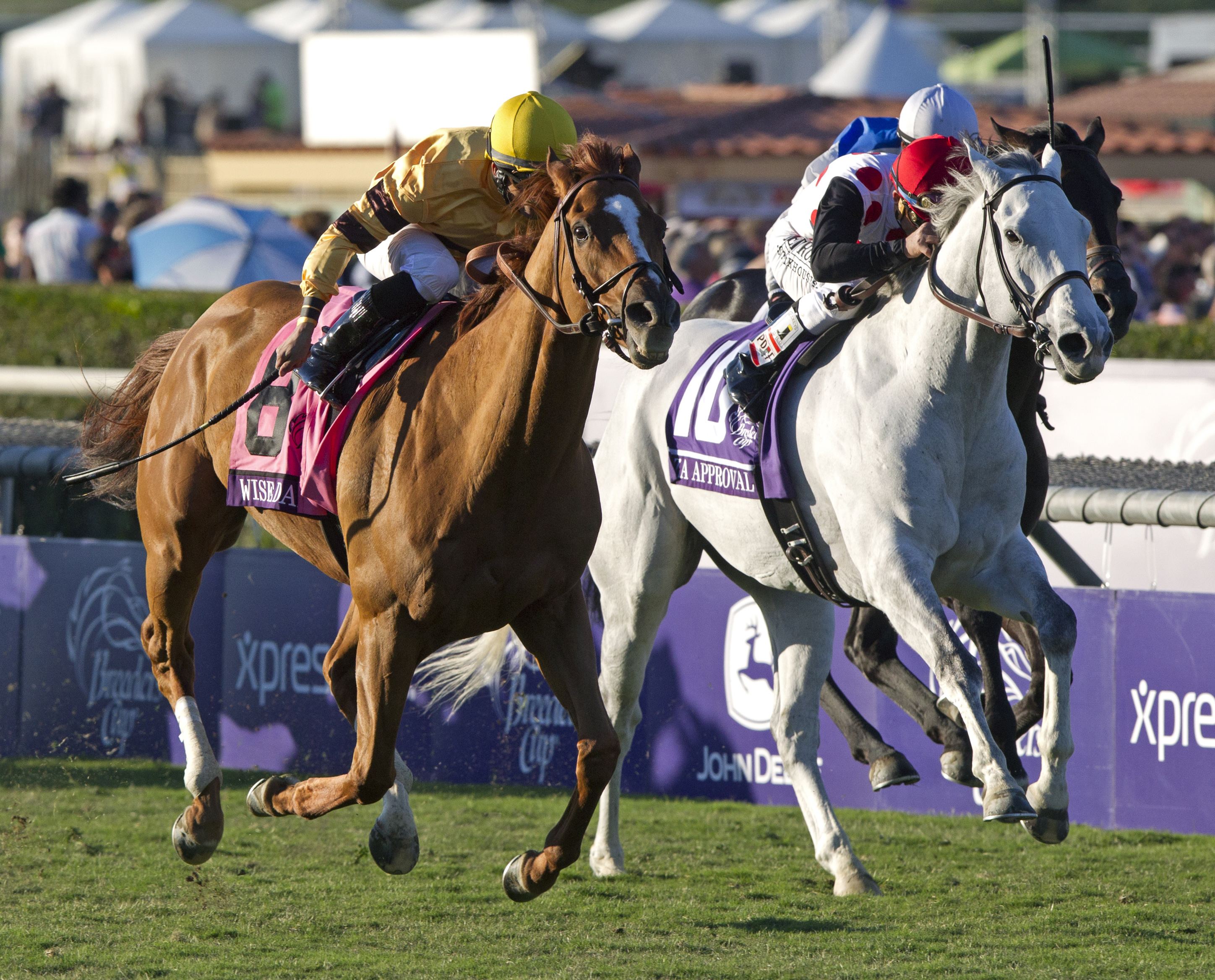 Wise Dan wins the BC Mile