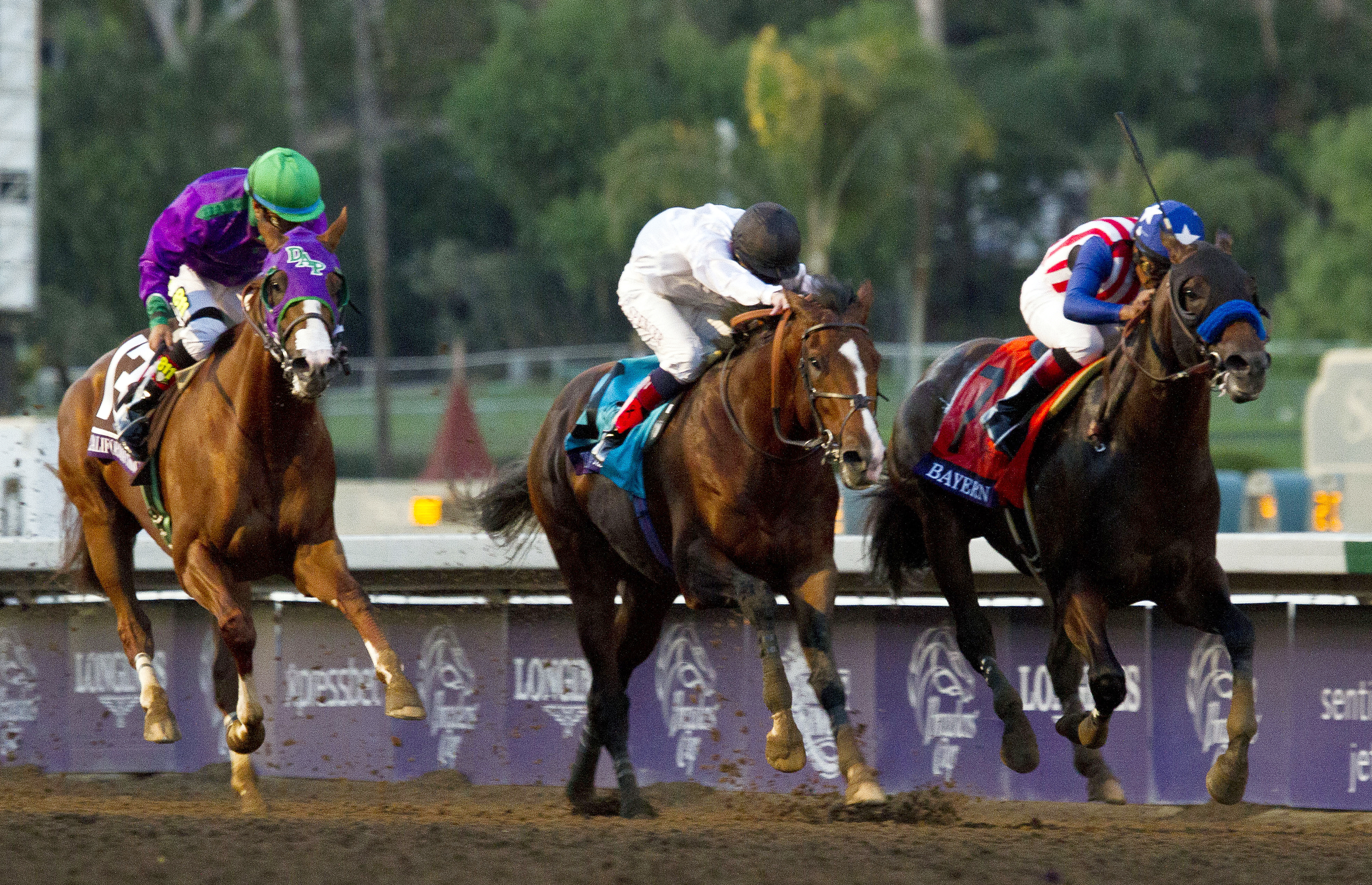 2014 Breeders' Cup Classic finish with Bayern