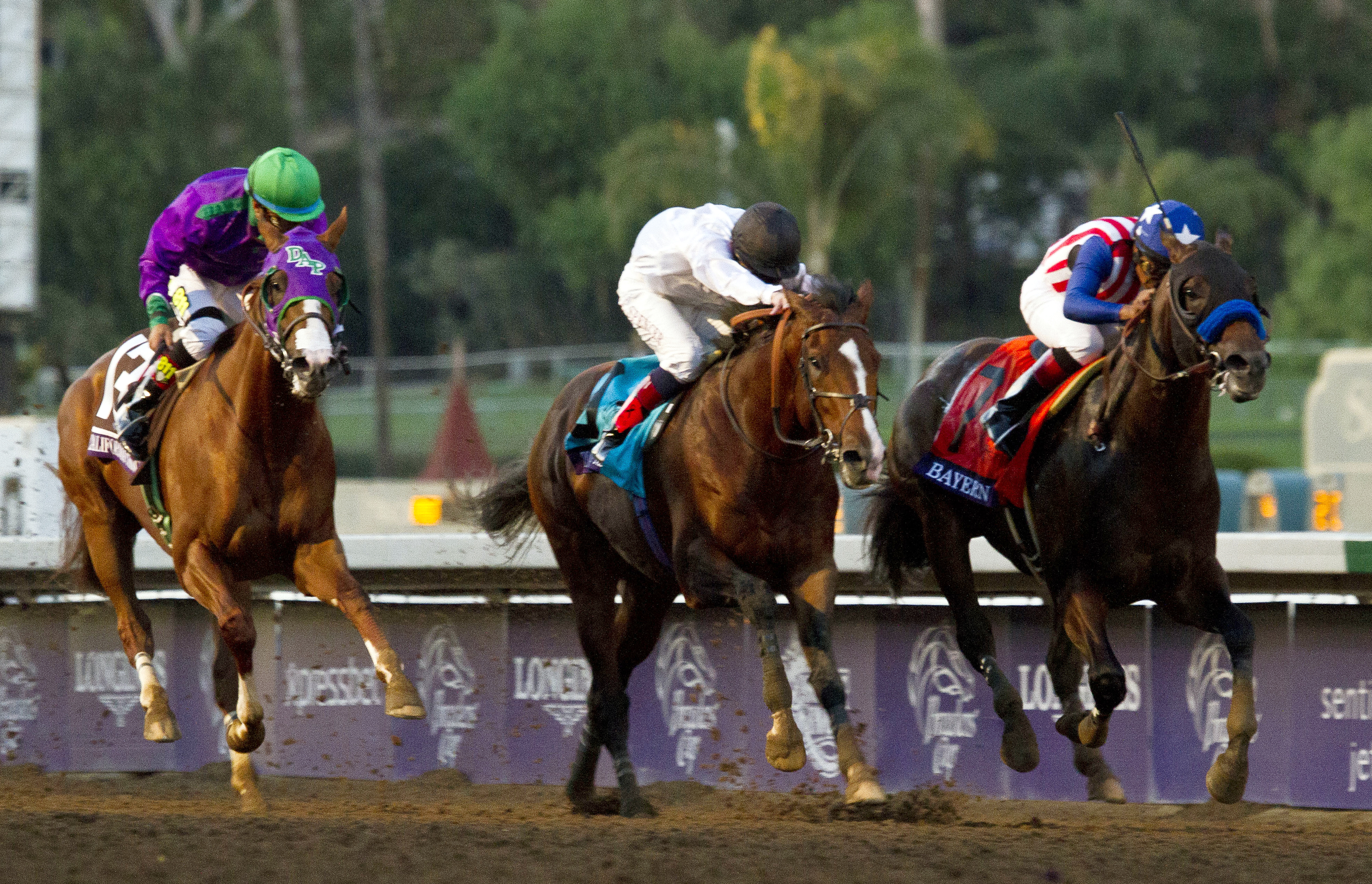 Bayern and California Chrome in the Breeders' Cup Classic