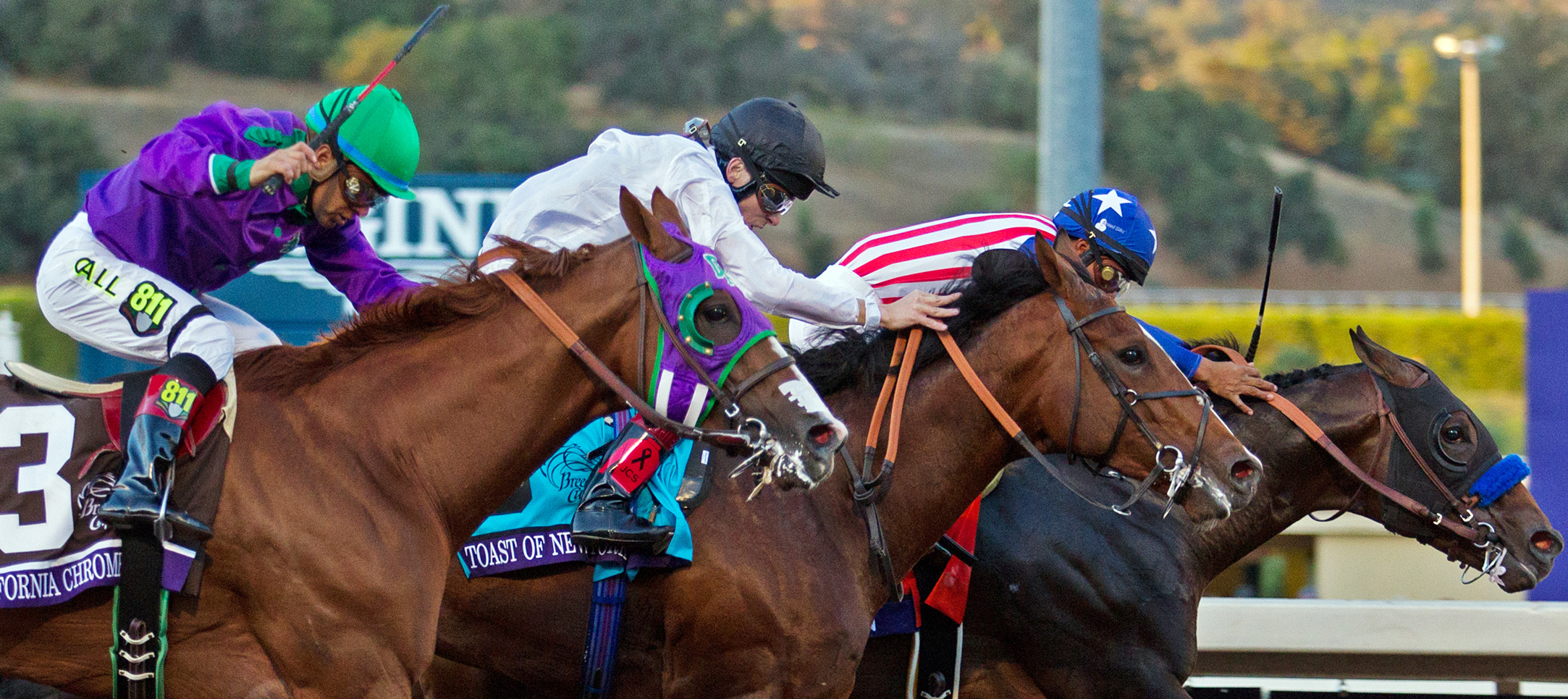 Bayern wins the Breeders' Cup Classic