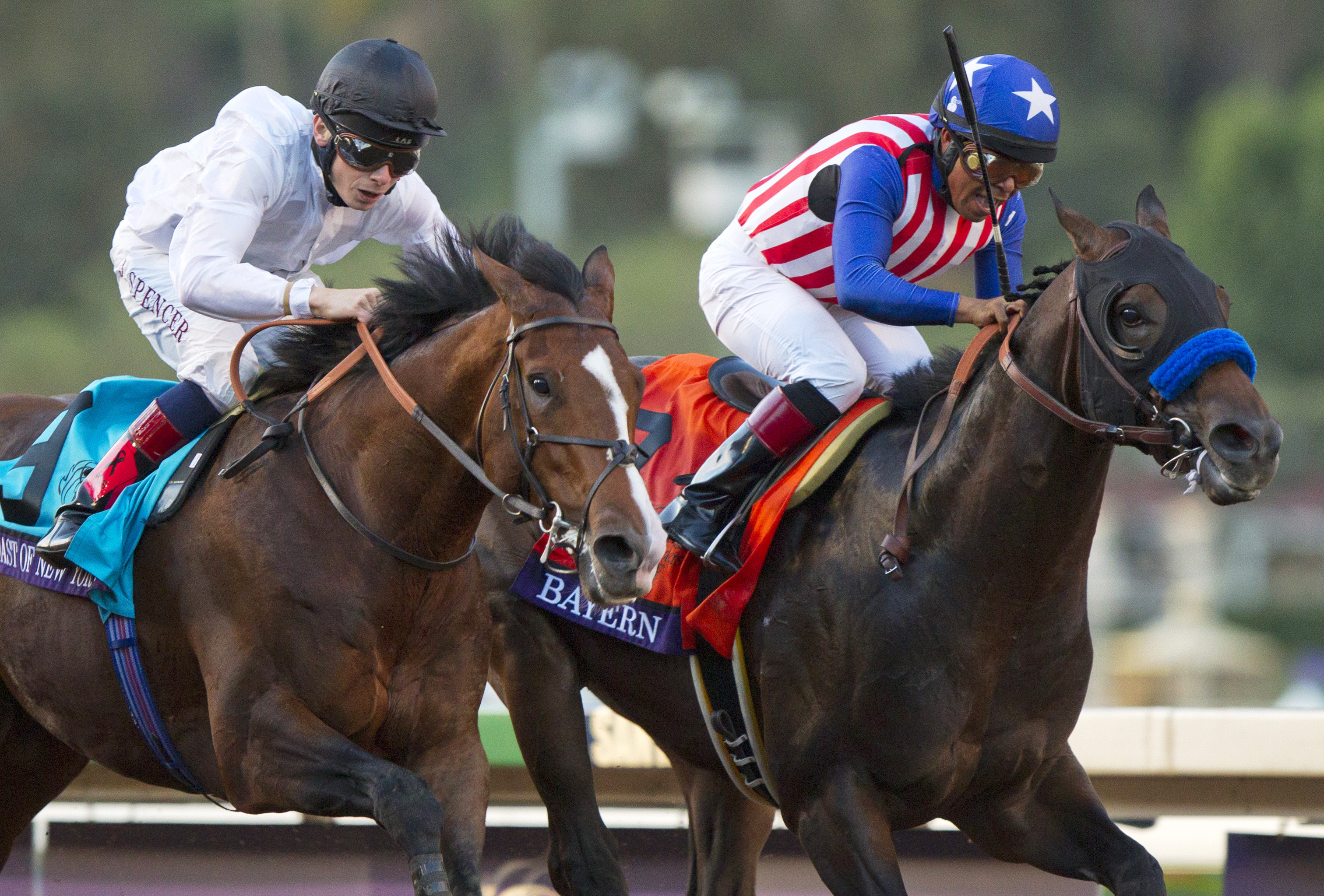 Toast of New York finishes second in the 2014 Breeders' Cup Classic